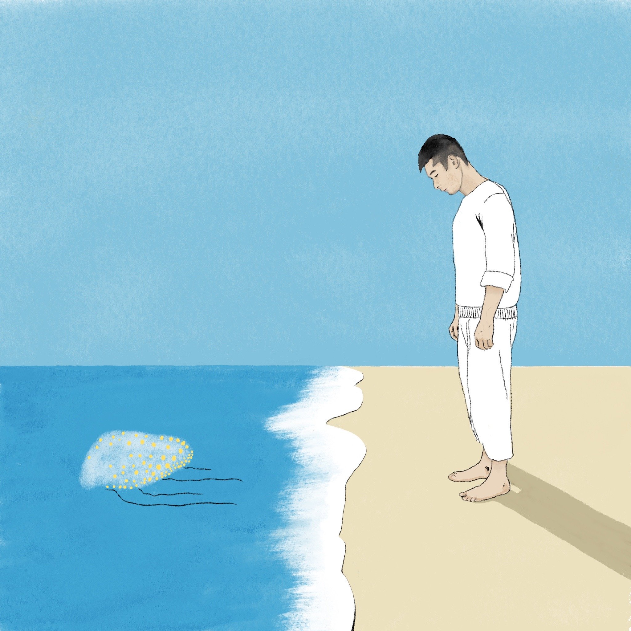 The Heart of The Jellyfish, Album cover