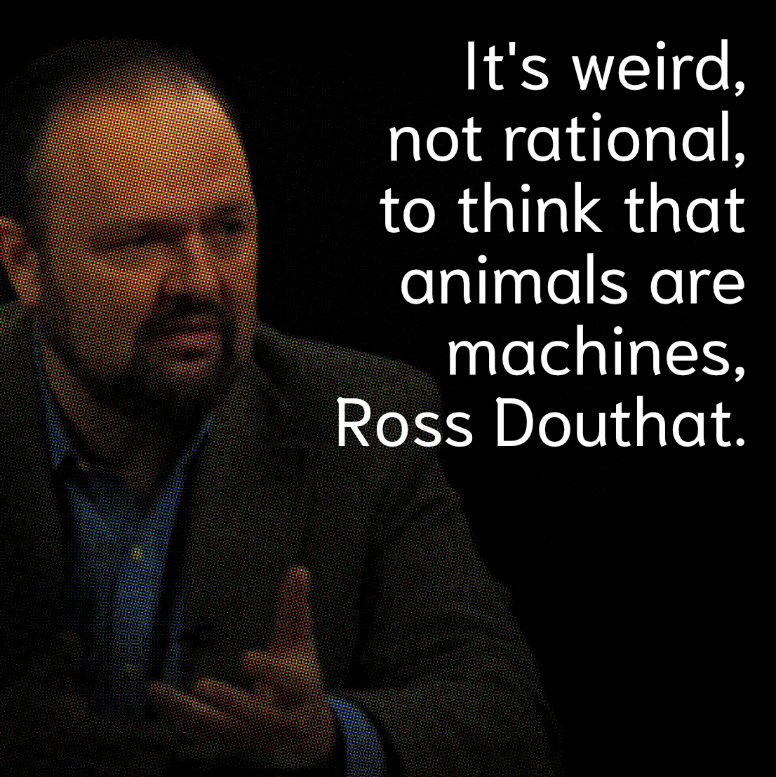 Animals Are Not Machines, Ross Douthat
