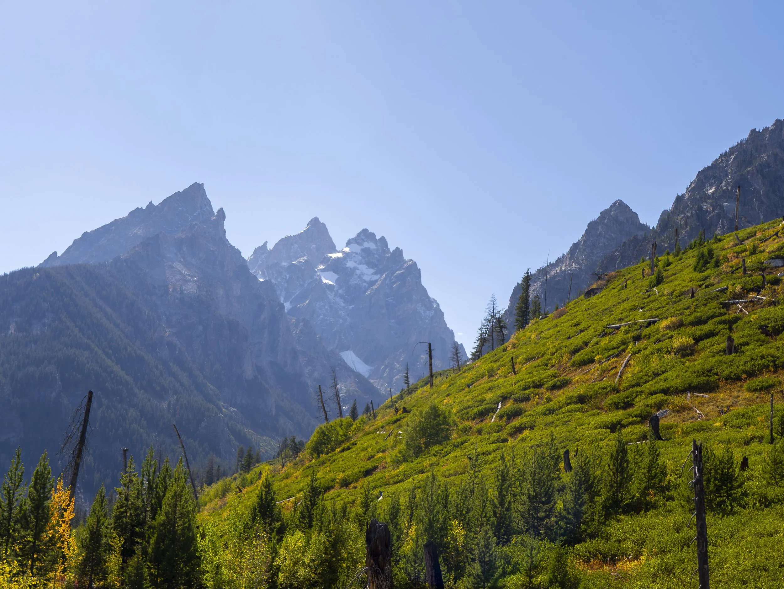 ClaytonBridgesCreative_PH_GrandTetons_batch2_81.jpg