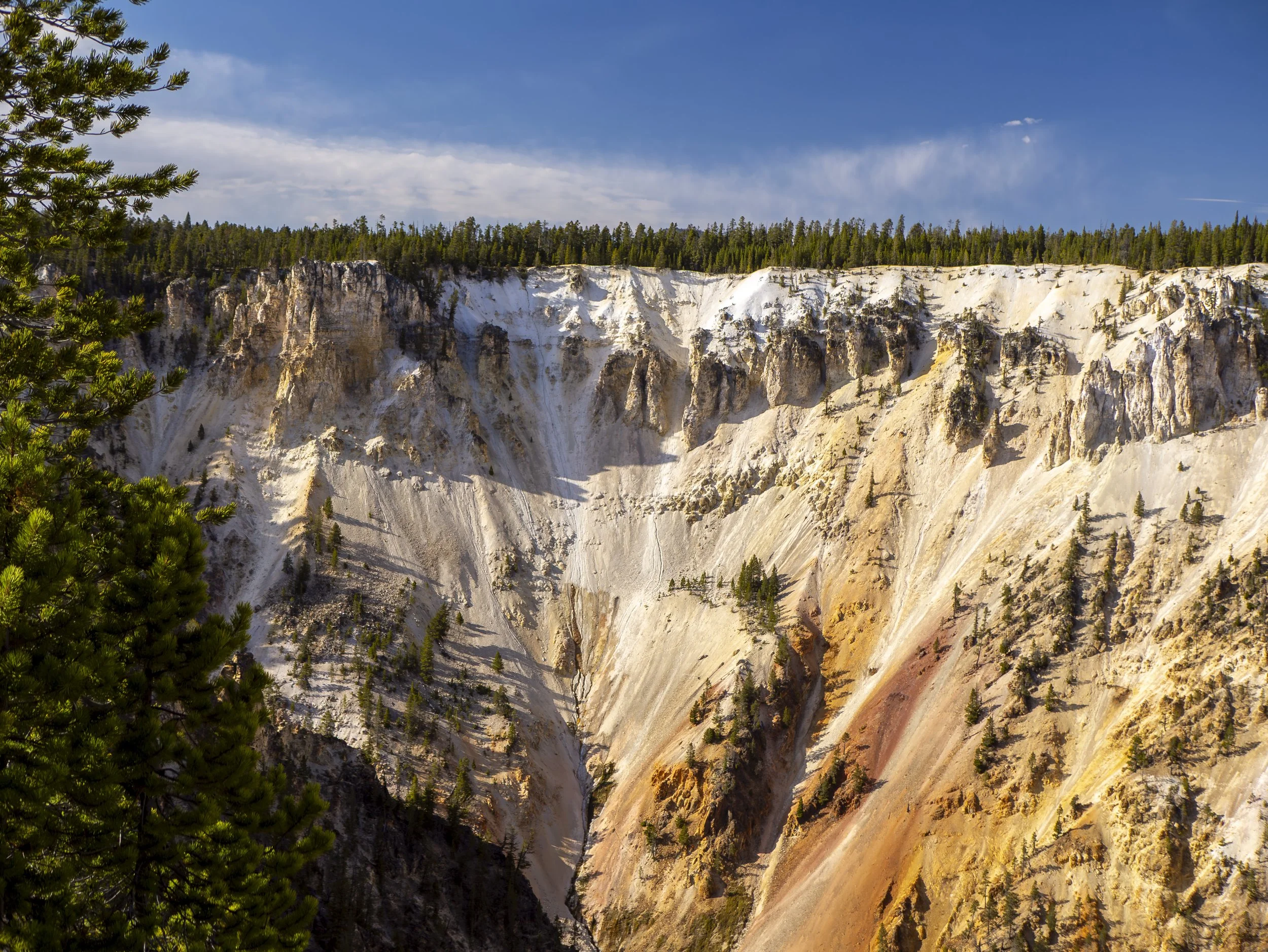 CBC_Photo_Yellowstone2024_YellowstoneBatch2_644.jpg