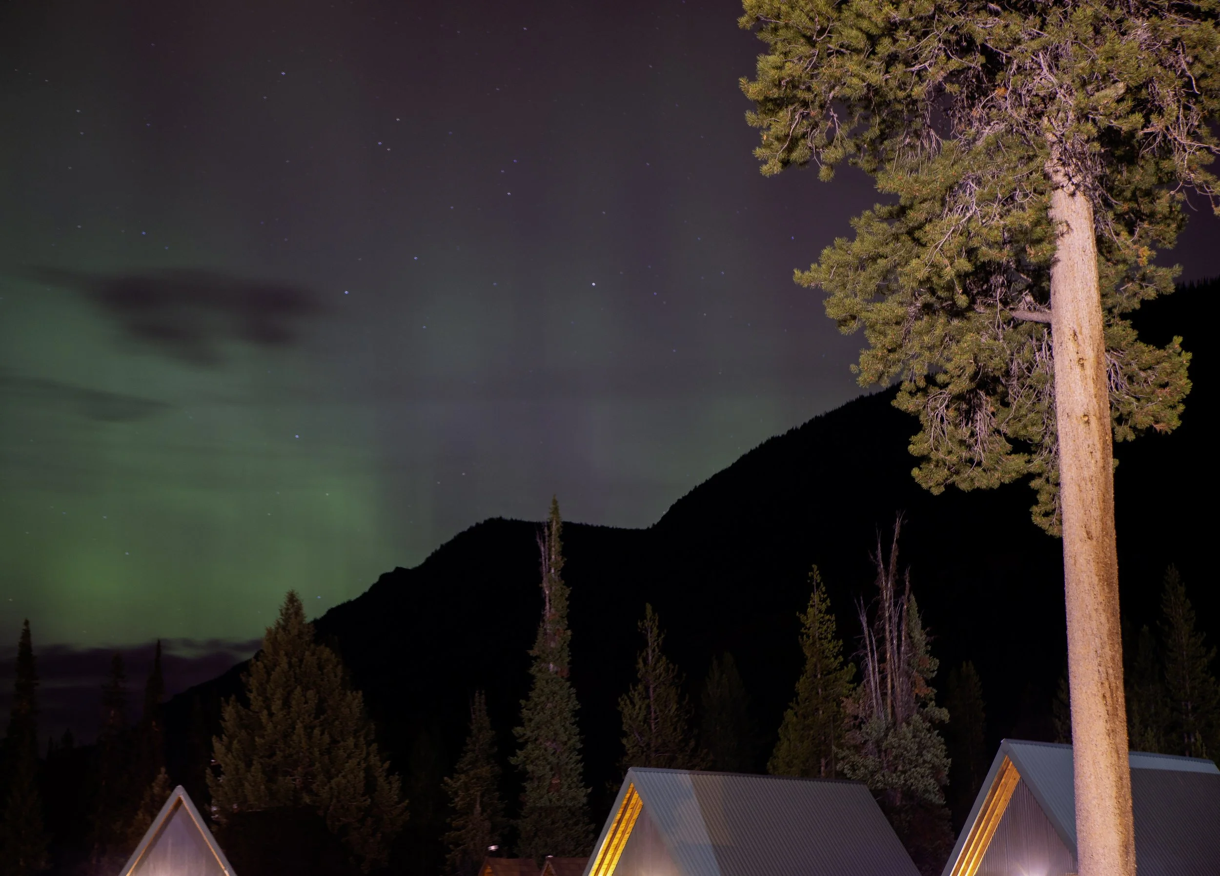 CBC_Photo_NorthernLights_NL2.jpg