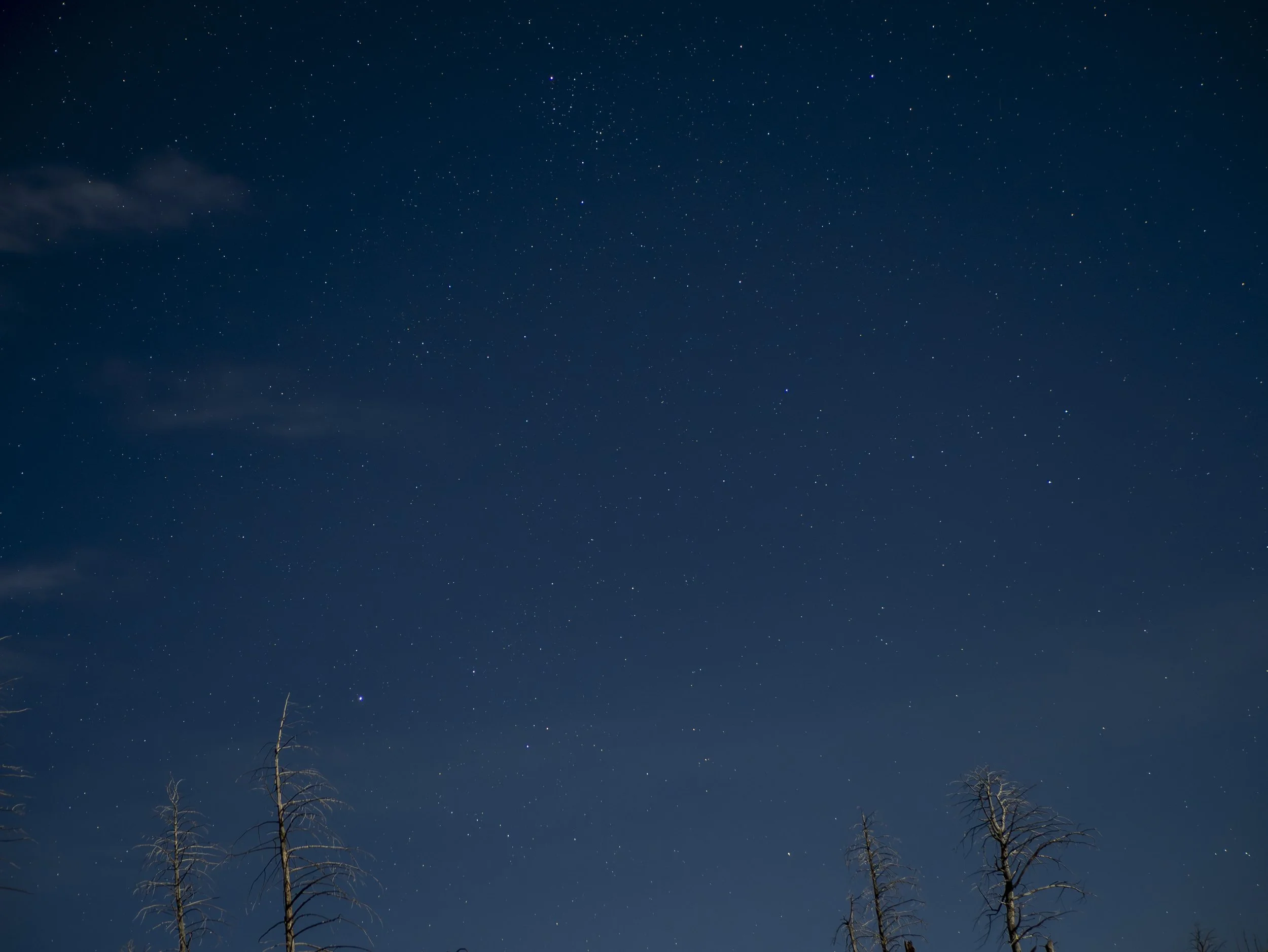 CBC_Photo_Yellowstone2024_YellowstoneBatch2_308.jpg