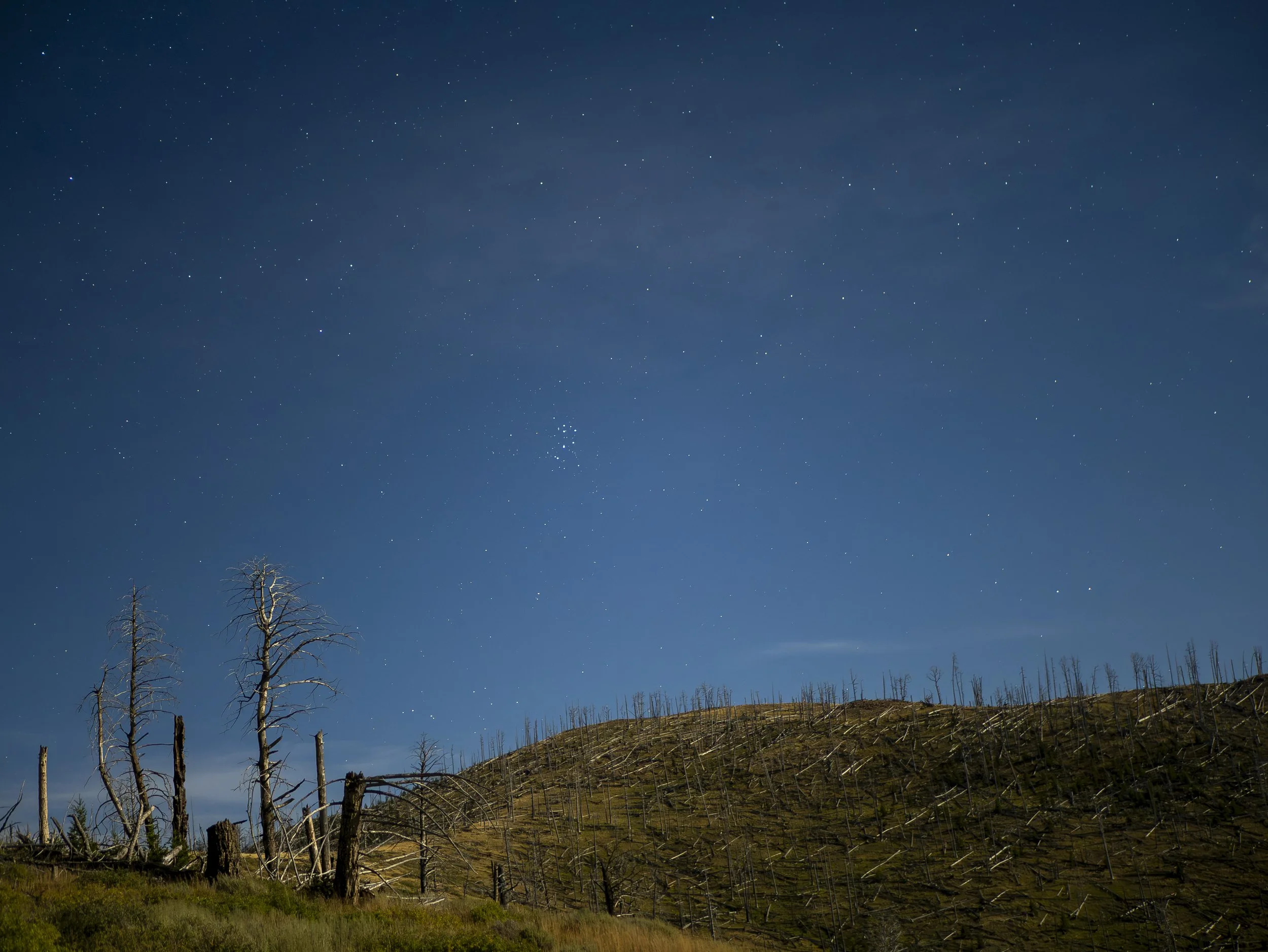CBC_Photo_Yellowstone2024_YellowstoneBatch2_306.jpg