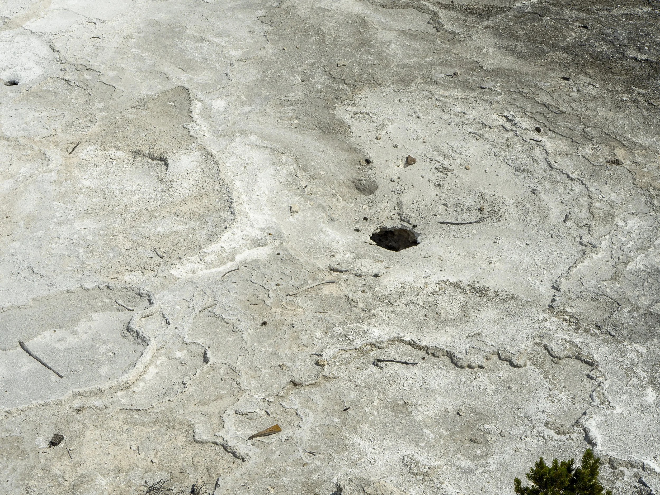 CBC_Photo_Yellowstone2024_YellowstoneBatch2_122.jpg