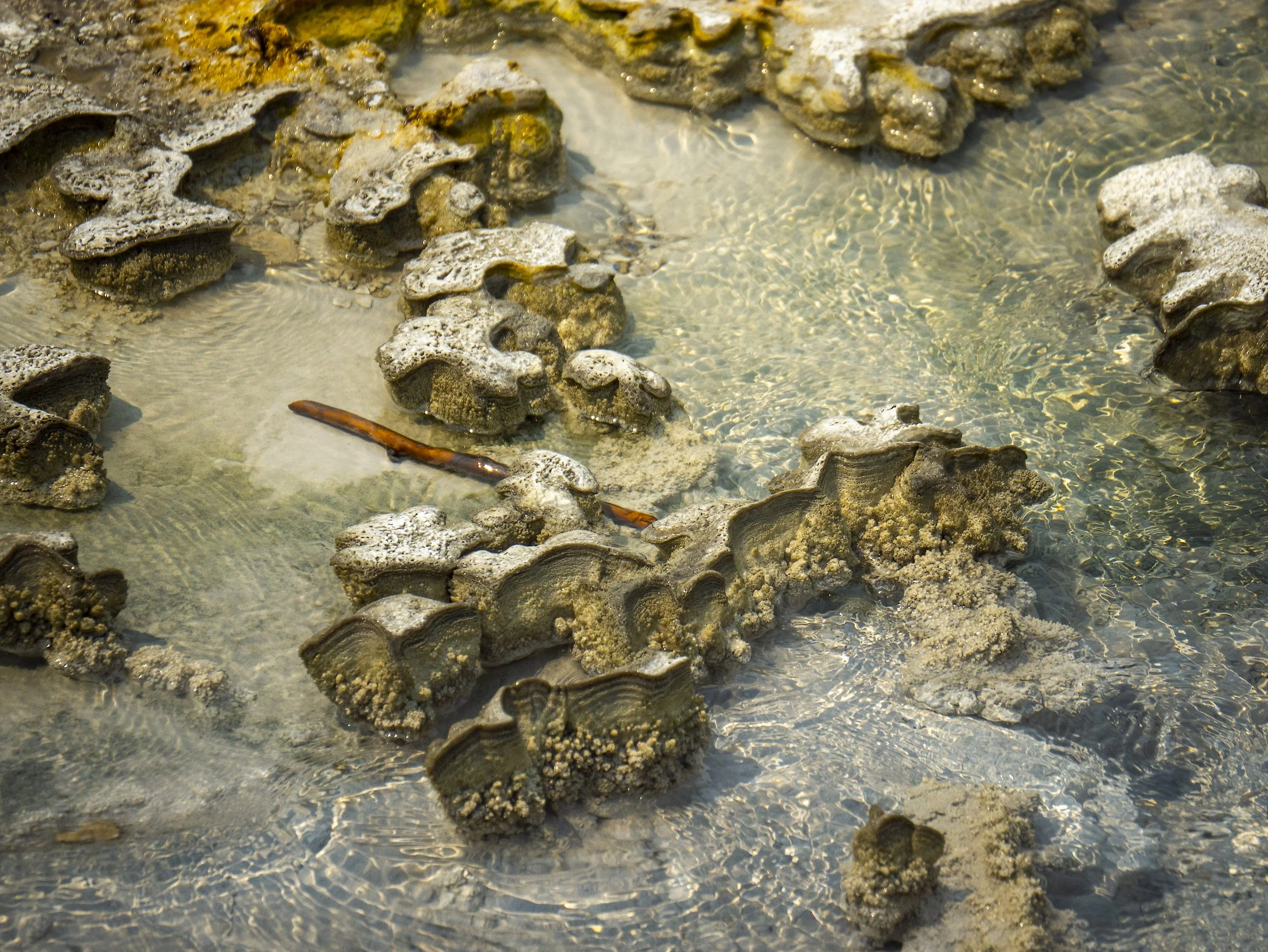 CBC_Photo_Yellowstone2024_Yellowstone012.jpg
