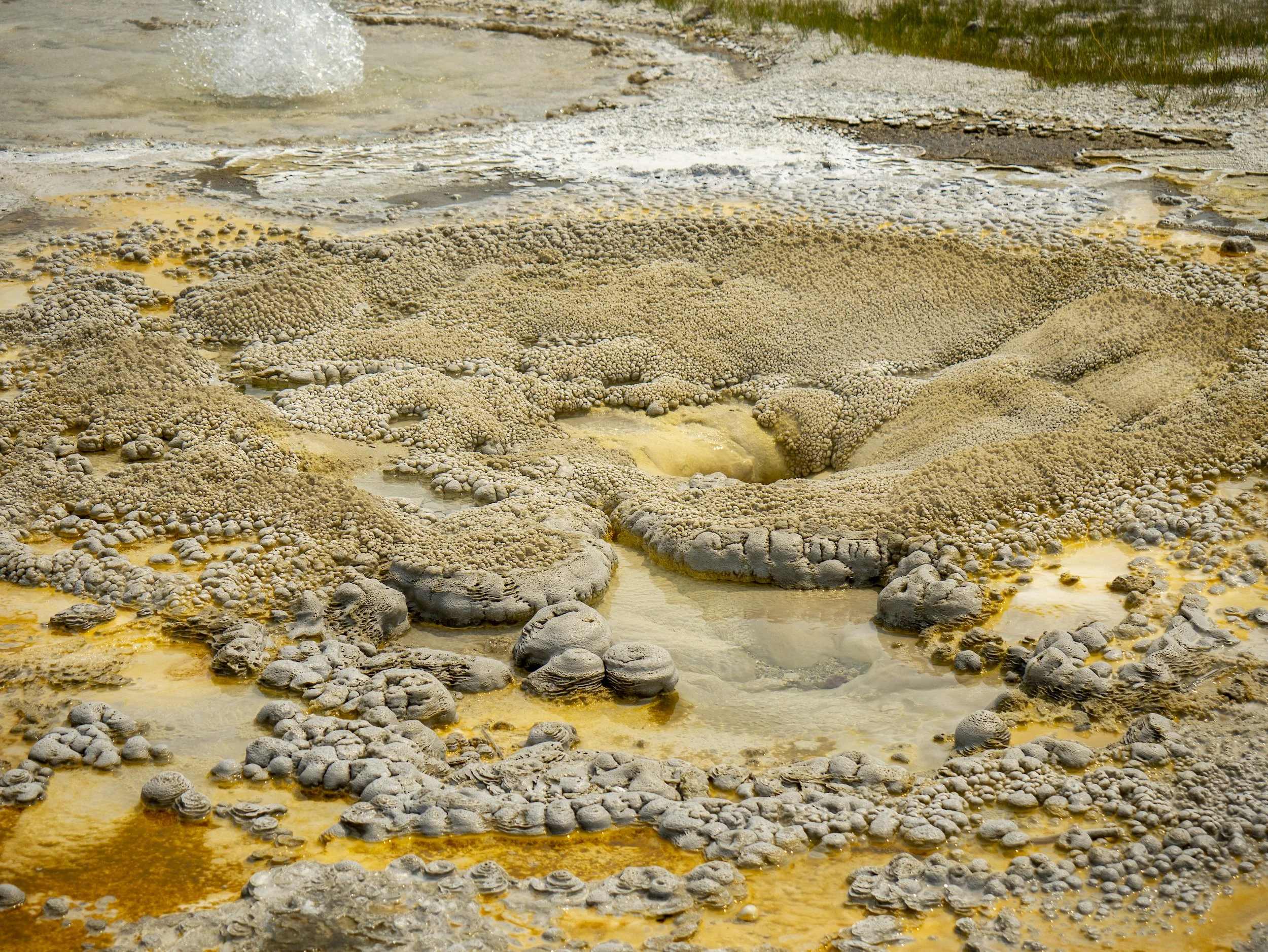 CBC_Photo_Yellowstone2024_Yellowstone022.jpg