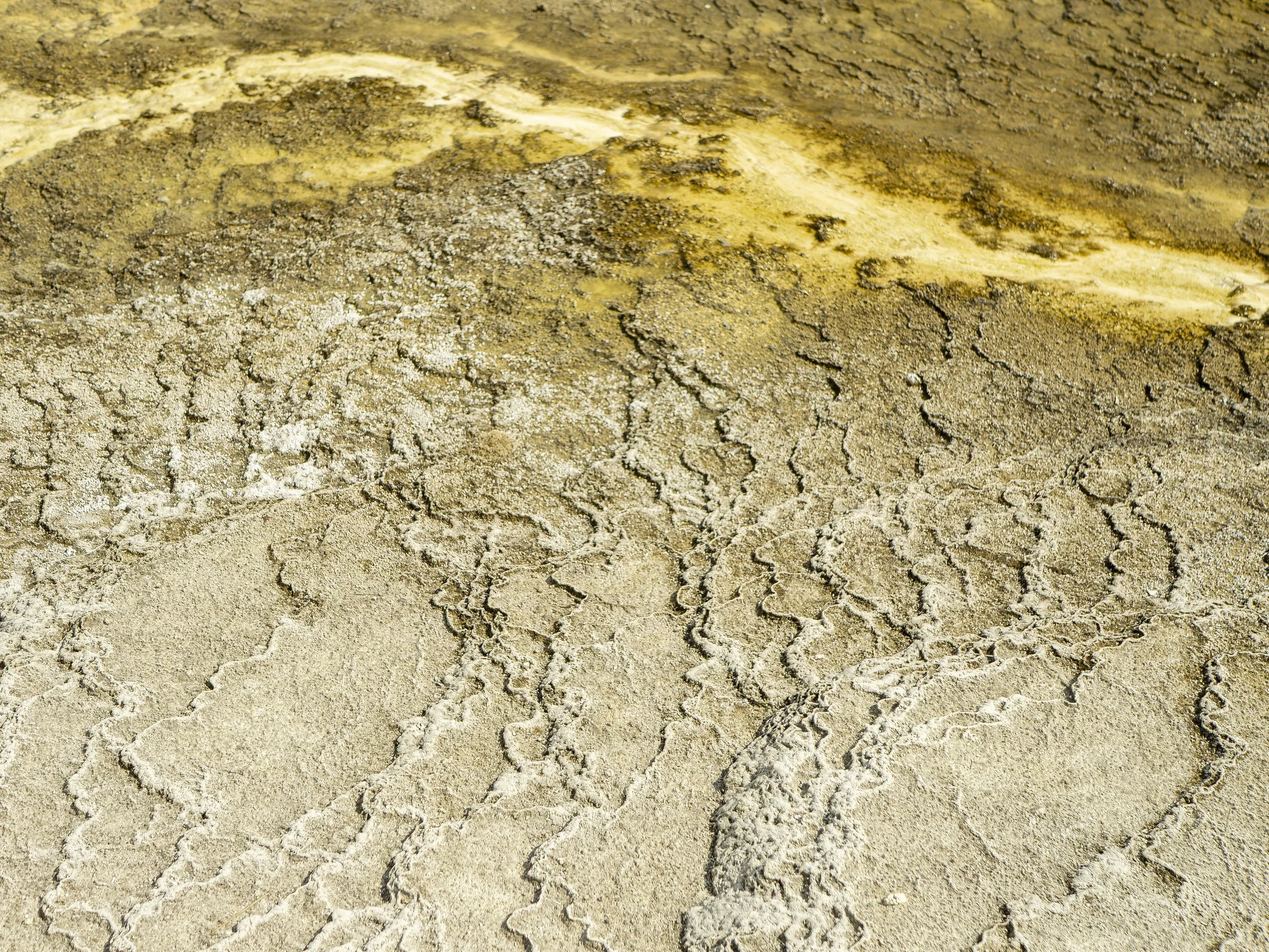 CBC_Photo_Yellowstone2024_YellowstoneBatch2_323.jpg