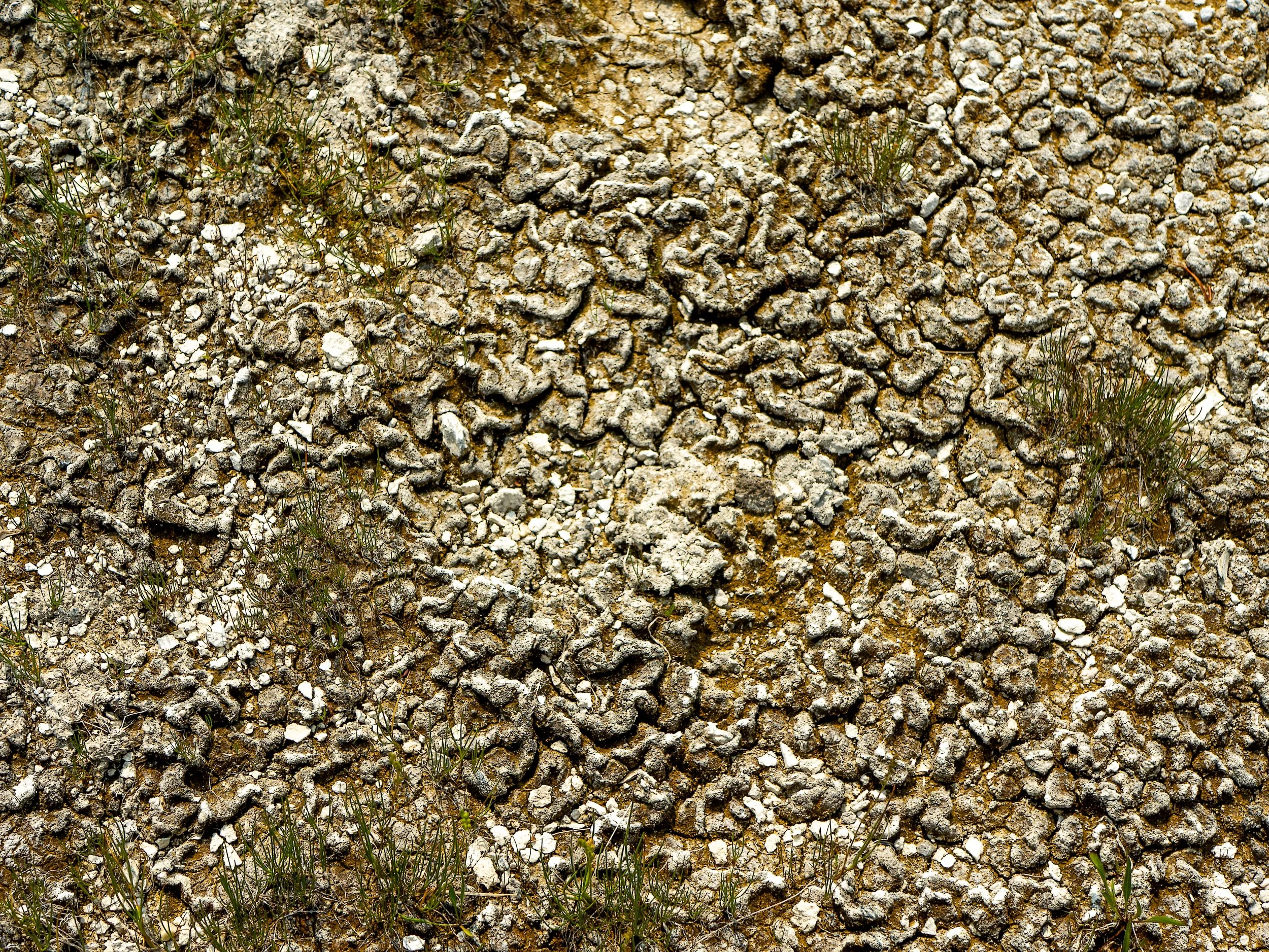 CBC_Photo_Yellowstone2024_Yellowstone043.jpg