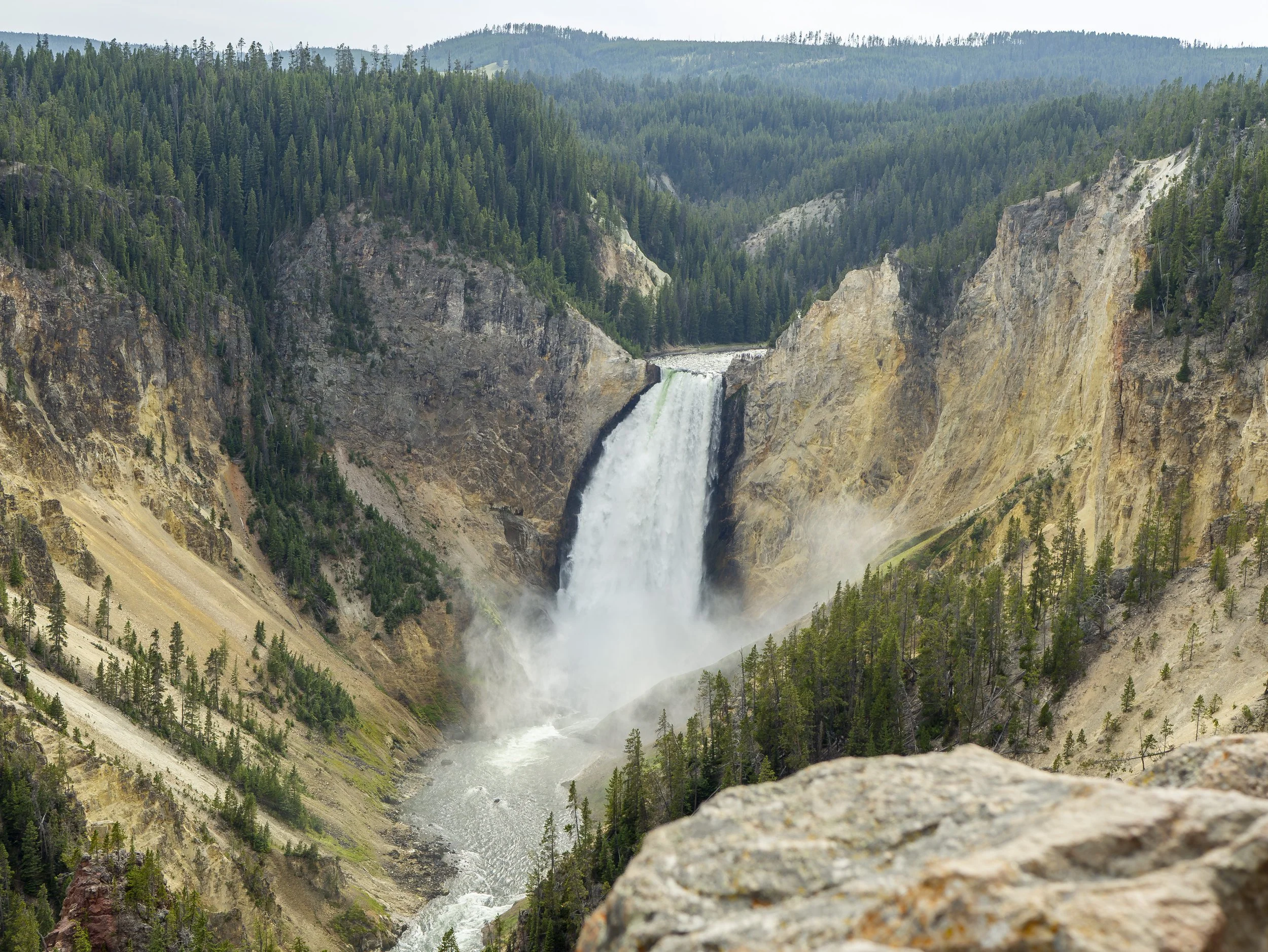 CBC_Photo_Yellowstone2024_YellowstoneBatch2_150.jpg