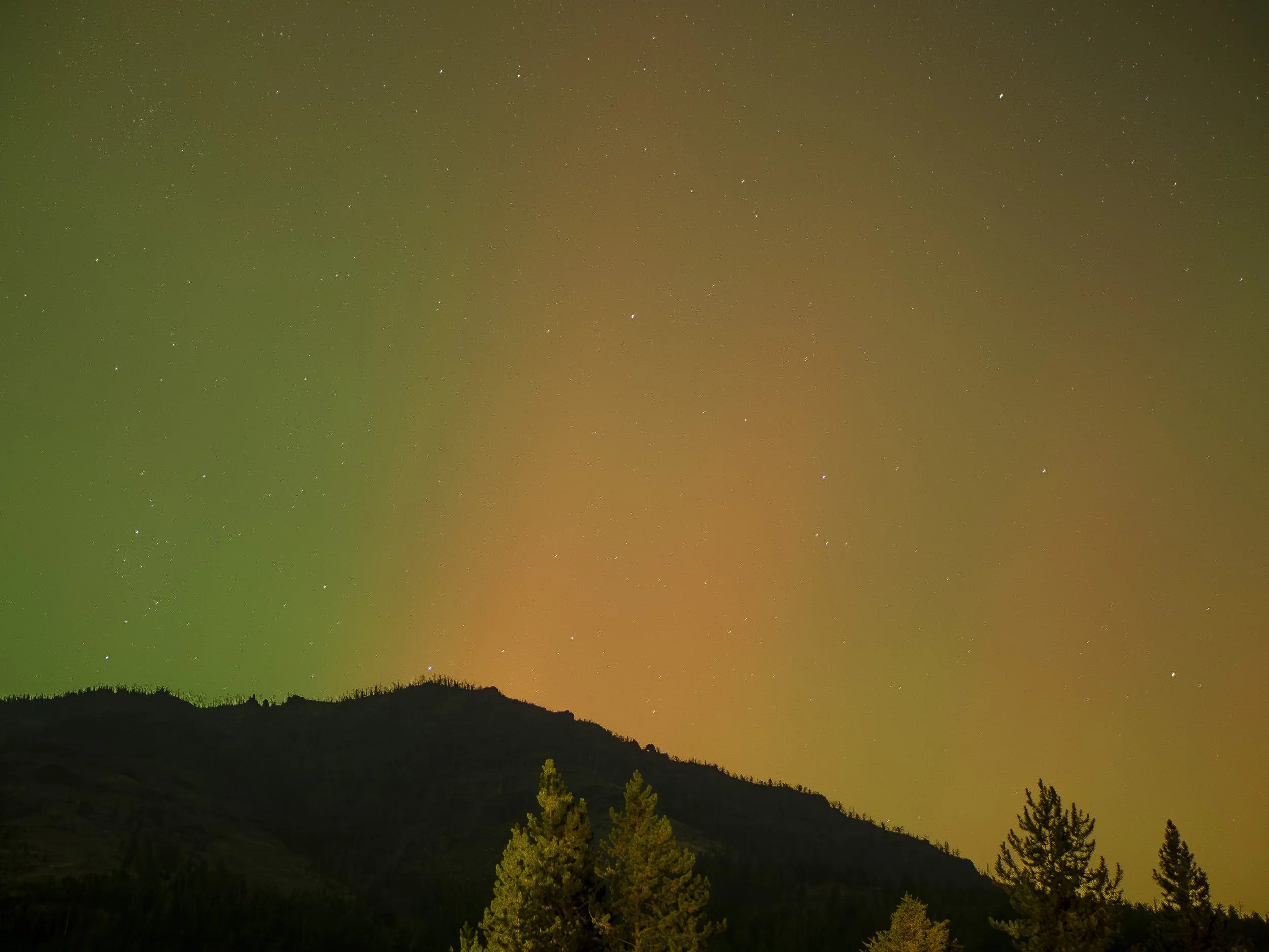 CBC_Photo_Yellowstone2024_YellowstoneBatch2_229.jpg
