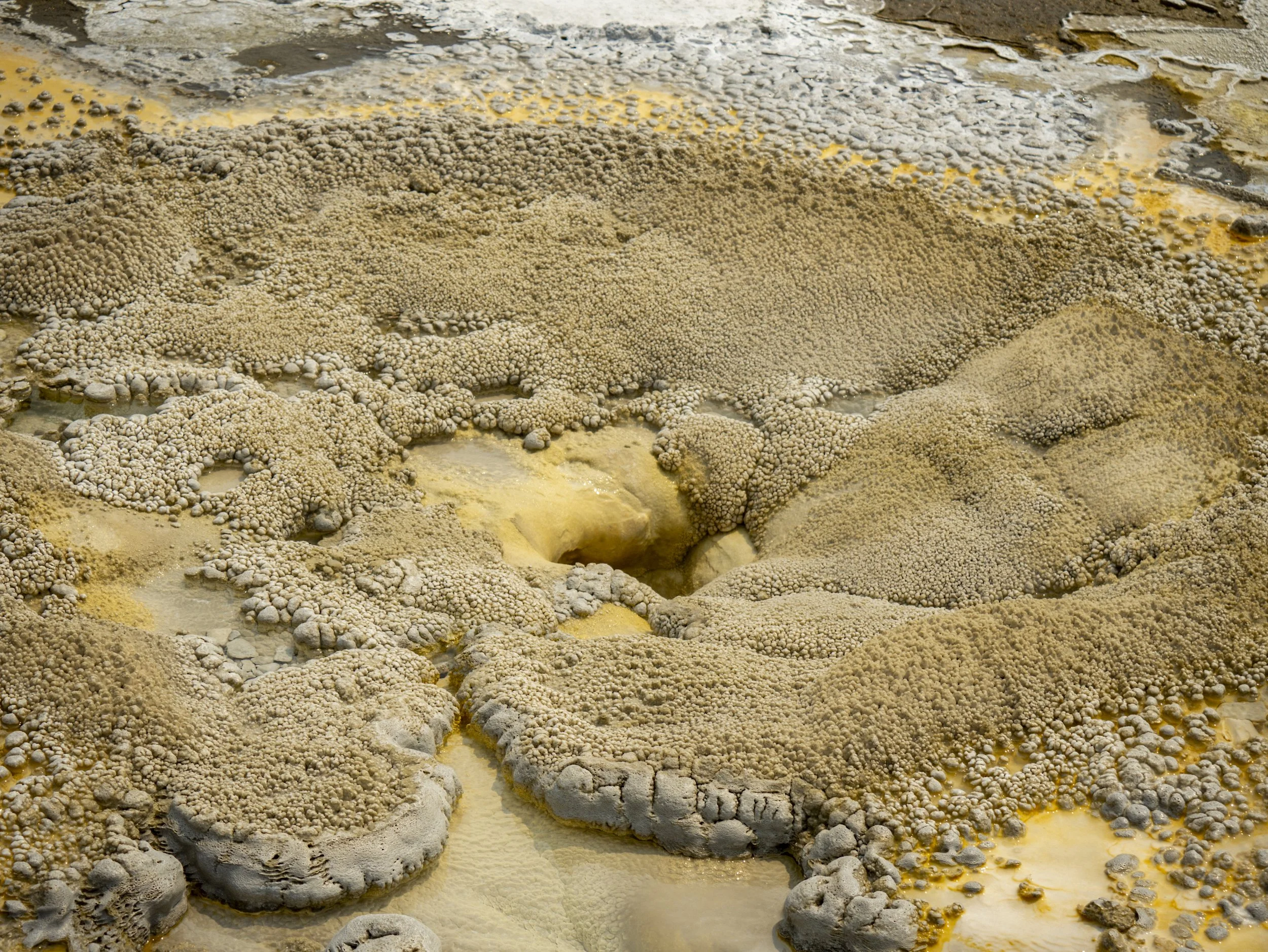 CBC_Photo_Yellowstone2024_Yellowstone023.jpg