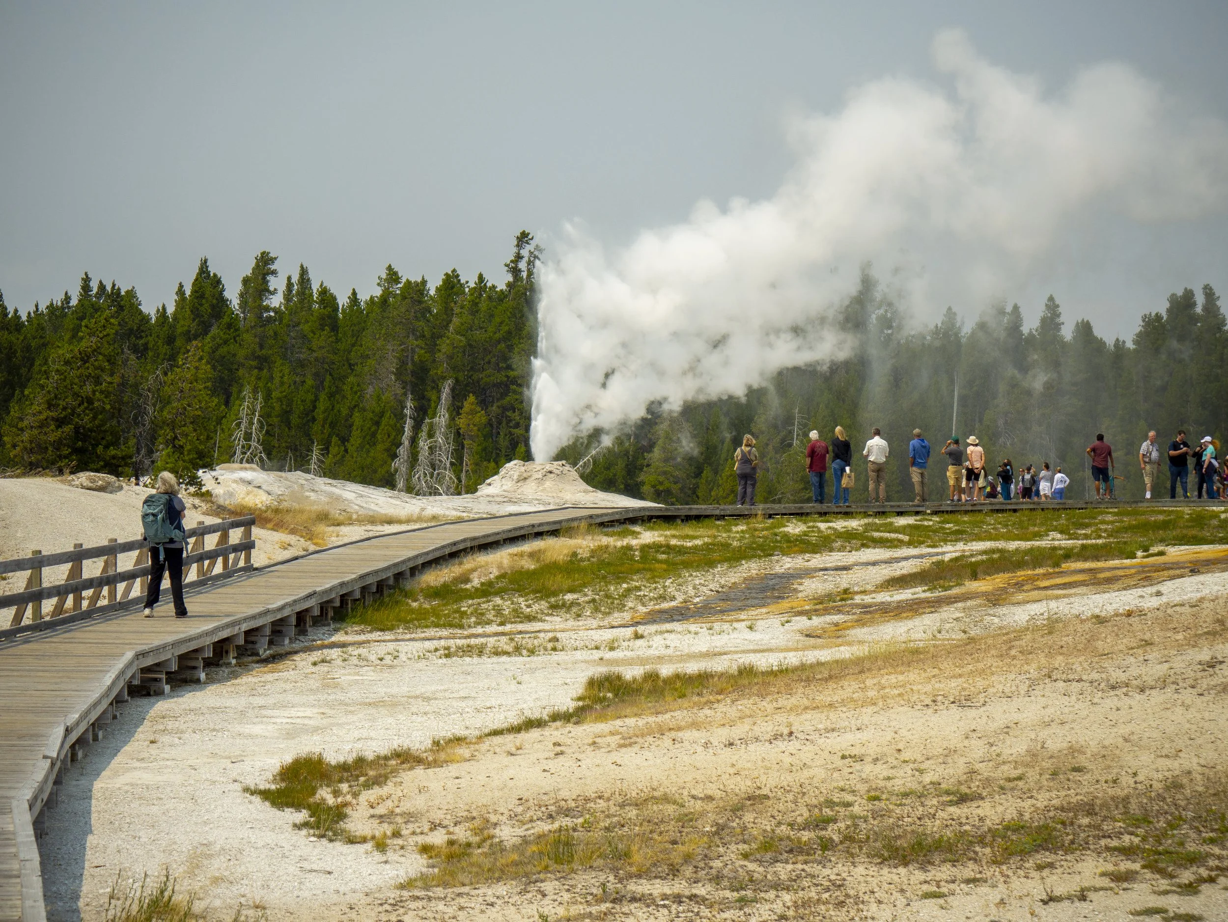 CBC_Photo_Yellowstone2024_Geyser1.jpg