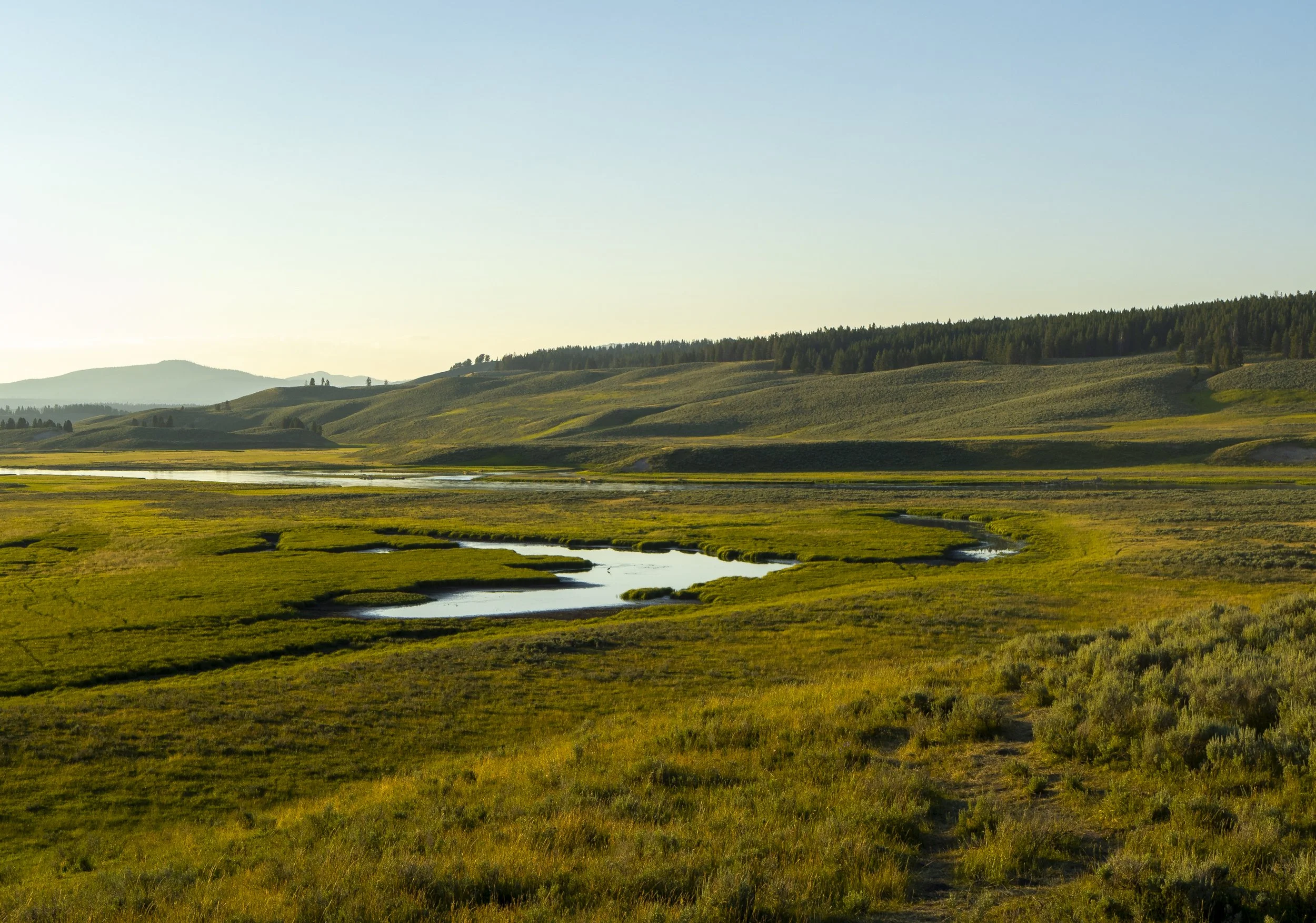 CBC_Photo_Yellowstone2024_Valley.jpg