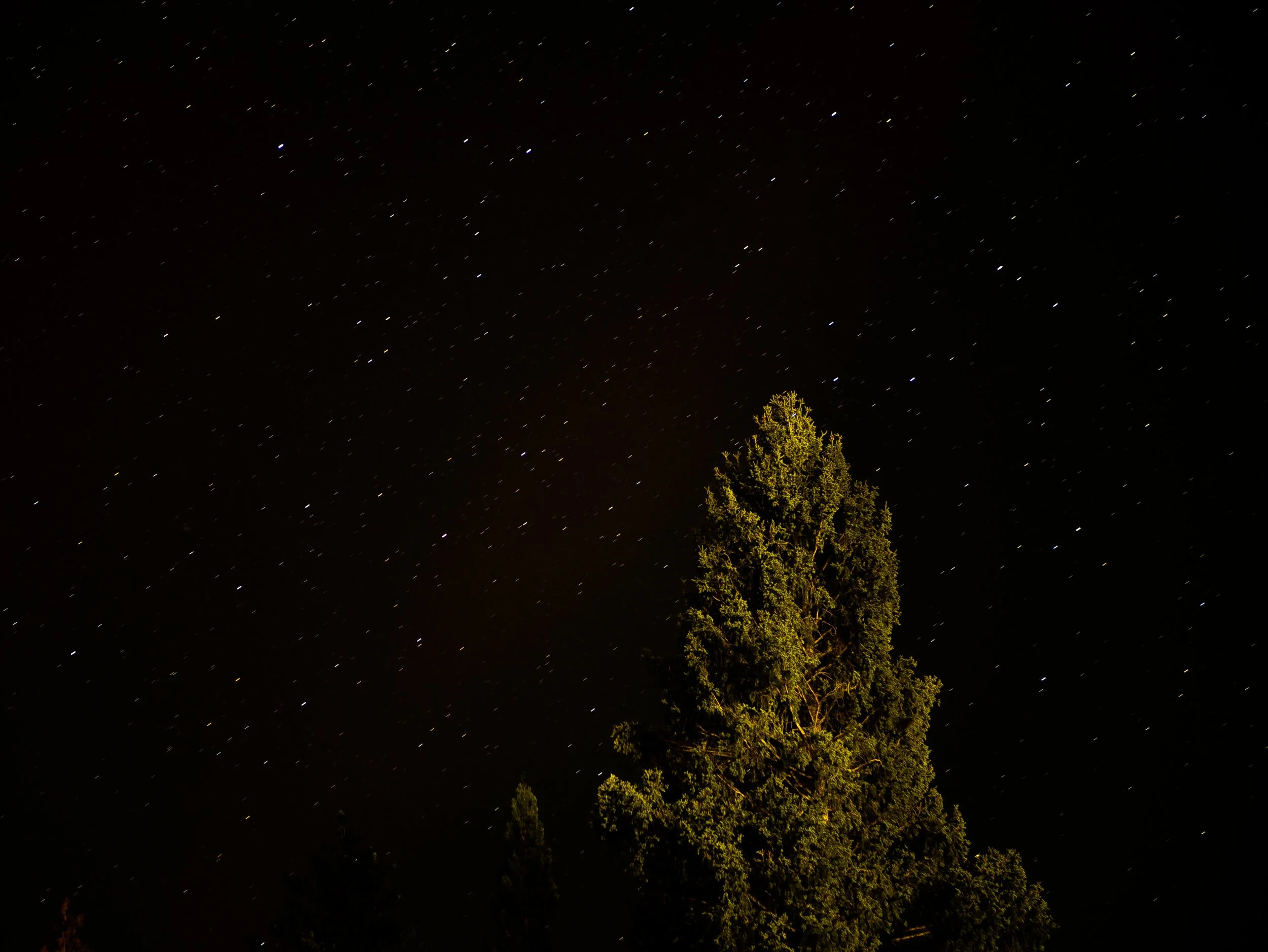 CBC_Photo_Yellowstone2024_LongExposure6.jpg