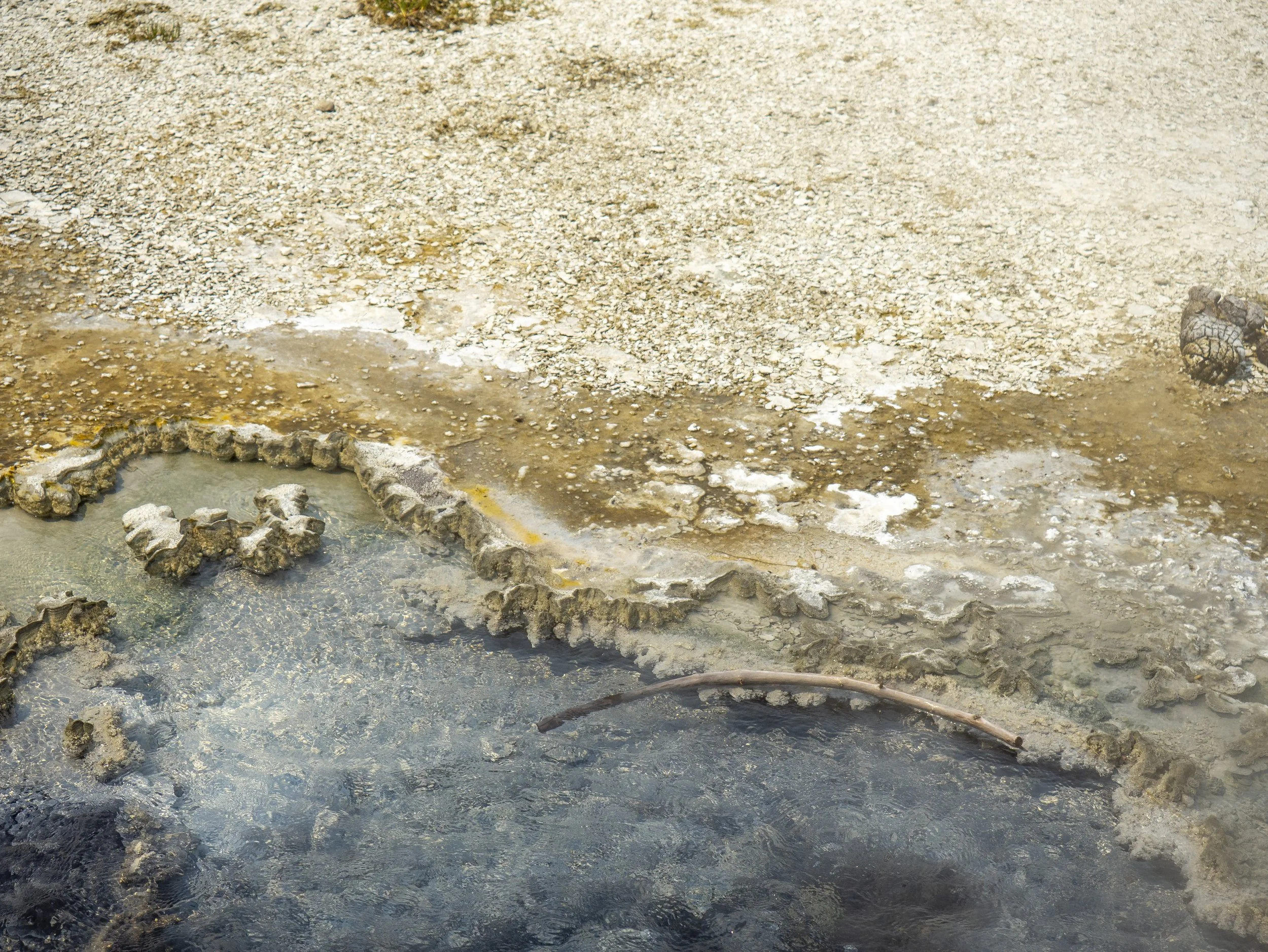 CBC_Photo_Yellowstone2024_YellowstoneBatch2_21.jpg