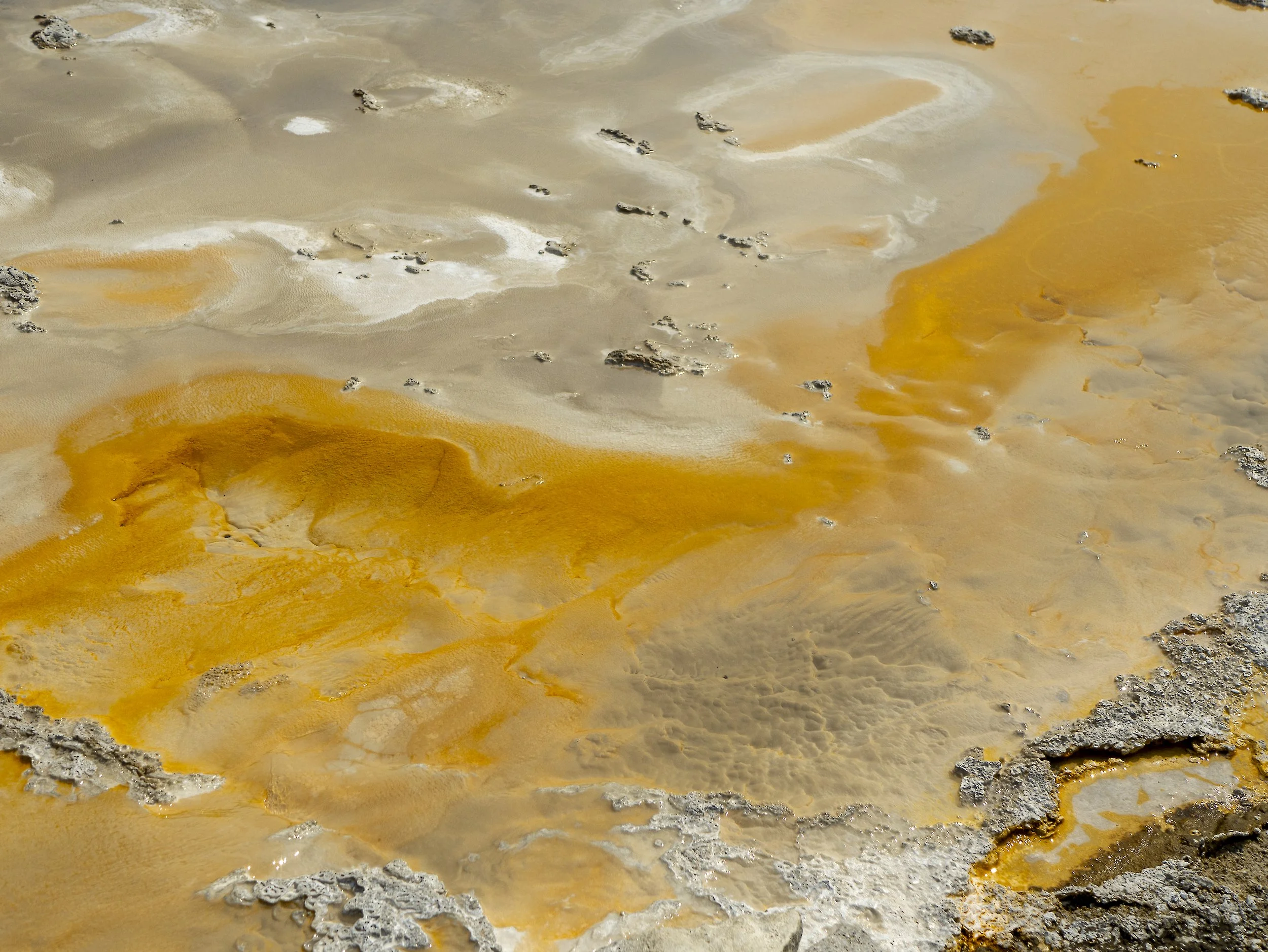 CBC_Photo_Yellowstone2024_Yellowstone049.jpg