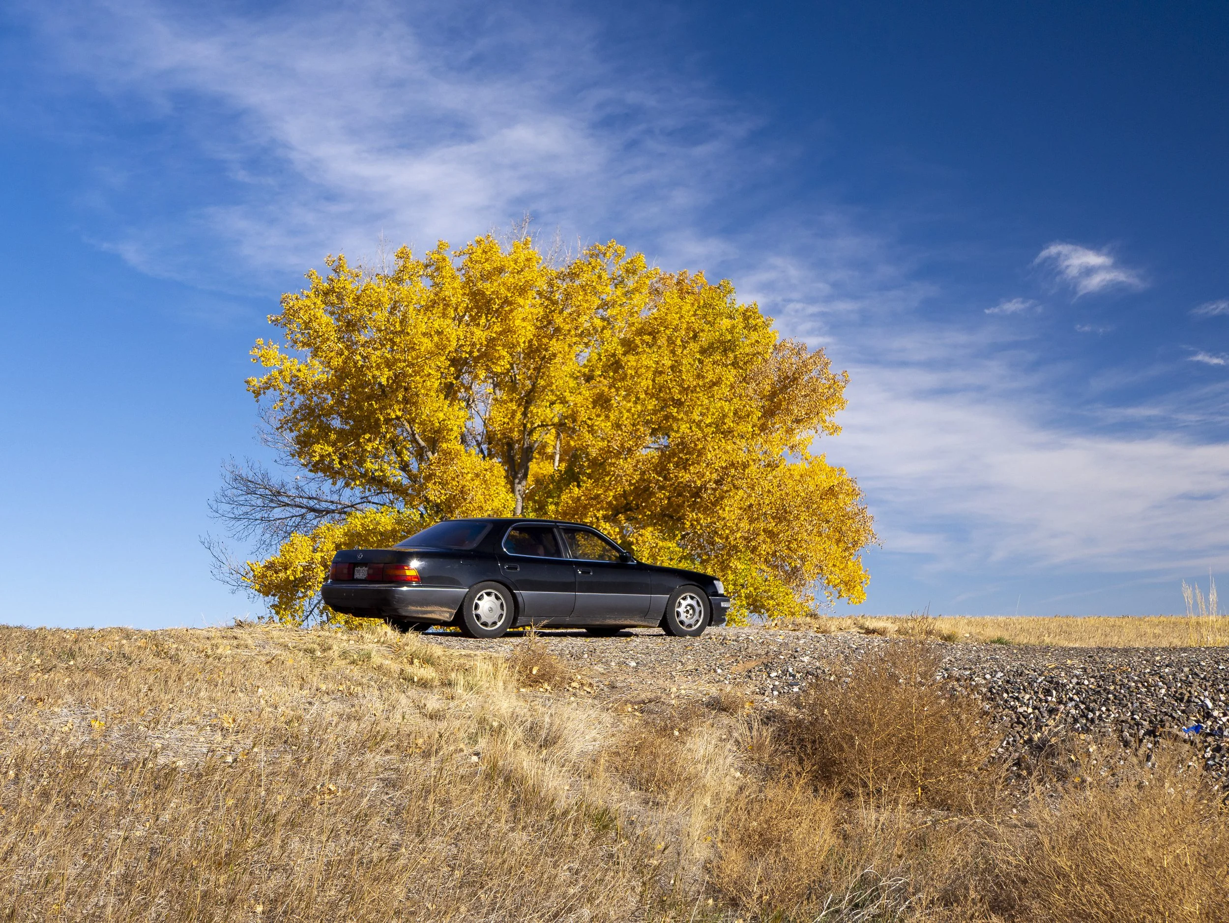CBC_Photo_Yellowstone2024_YellowstoneCar24.jpg