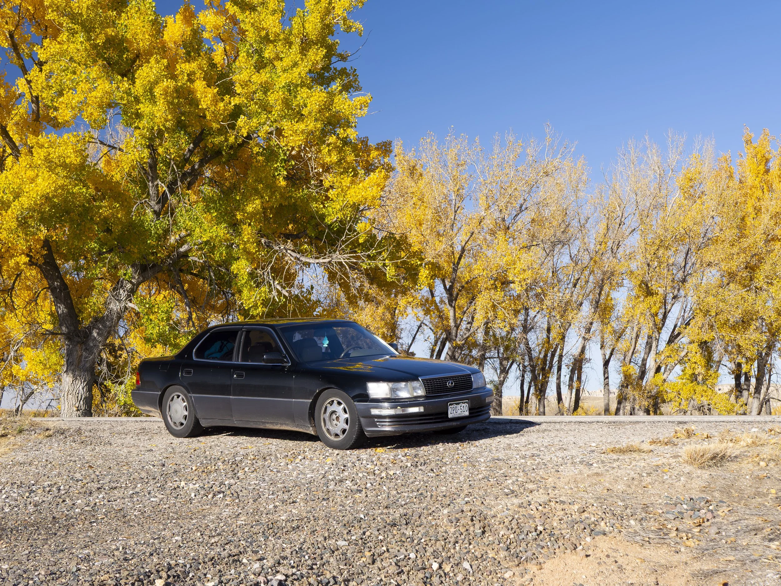 CBC_Photo_Yellowstone2024_YellowstoneCar22.jpg