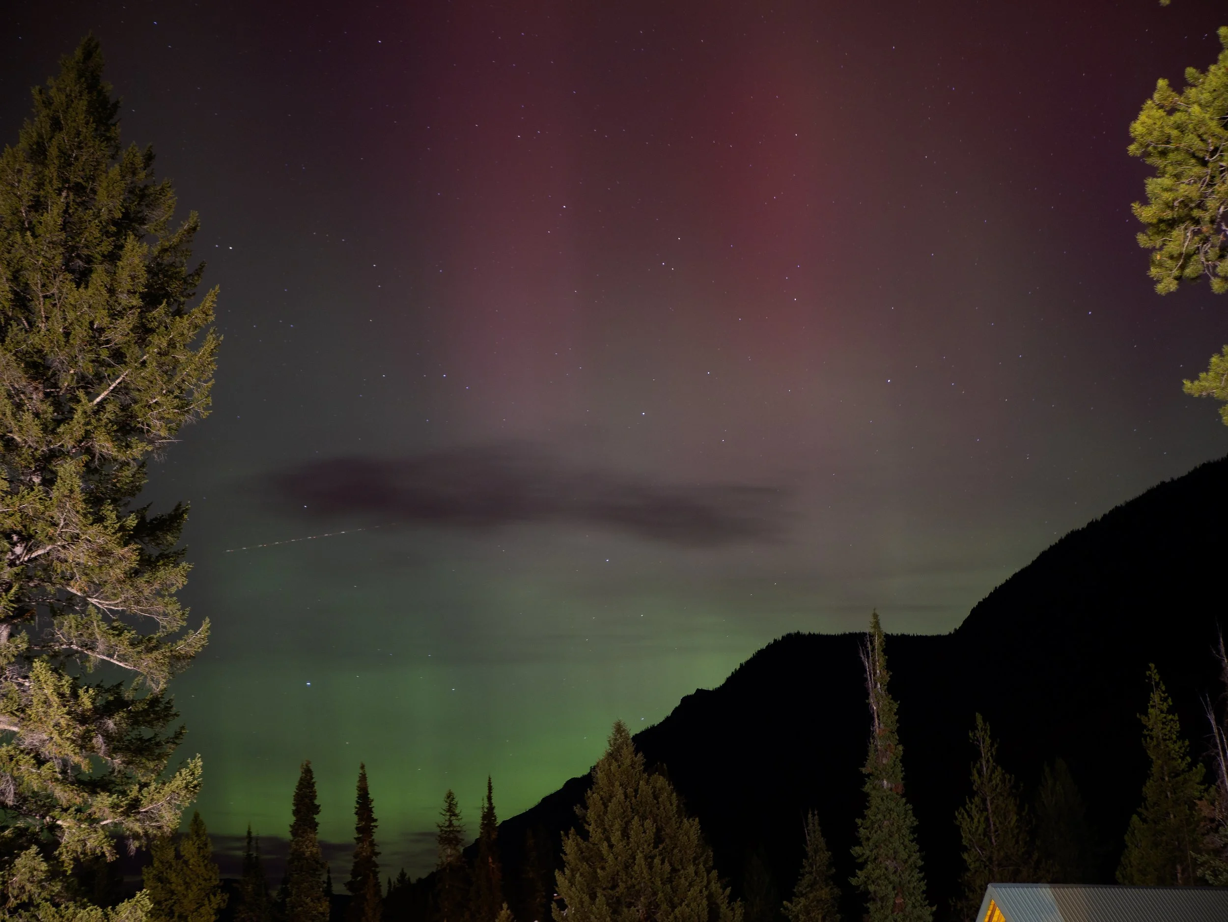 CBC_Photo_NorthernLights_NL4.jpg