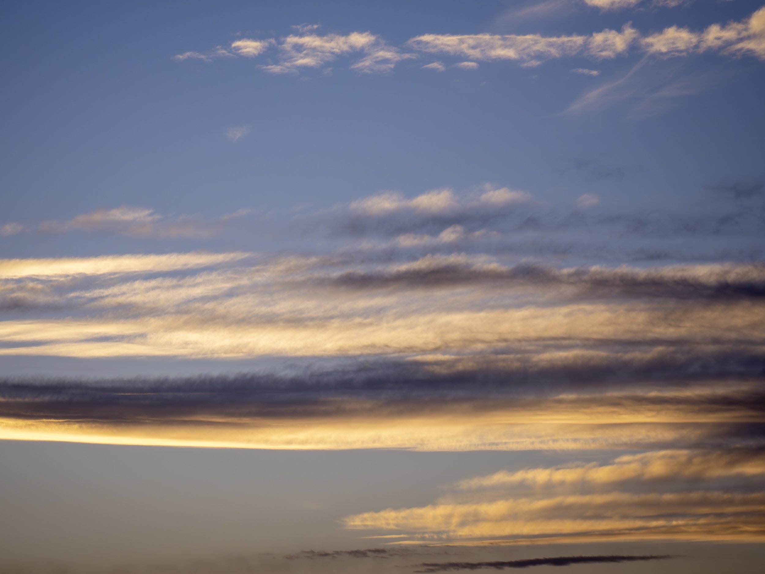 CBC_Photo_Yellowstone2024_YellowstoneBatch2_812.jpg