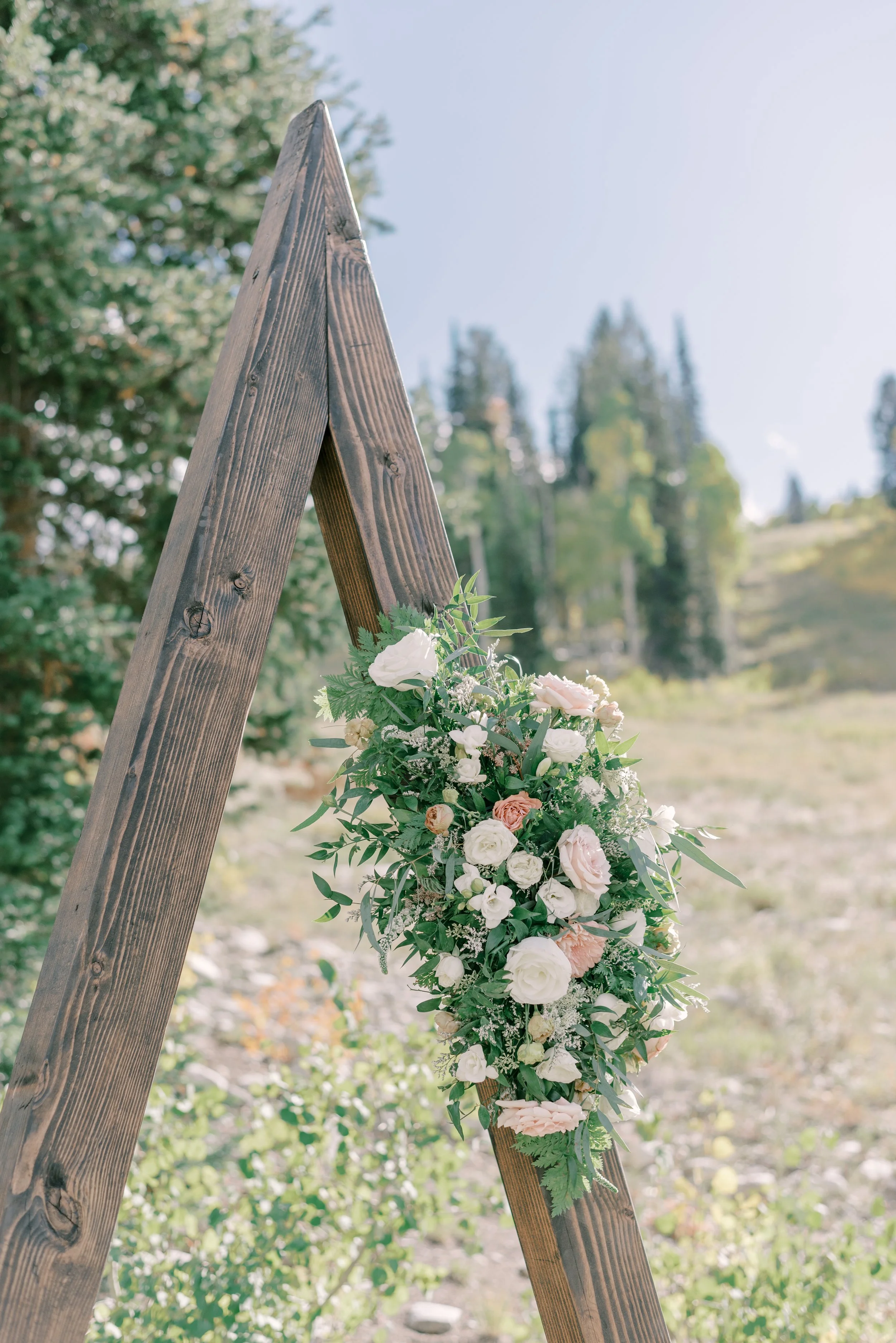 SO2_0070__ashlee_brooke_photography__Original.jpg