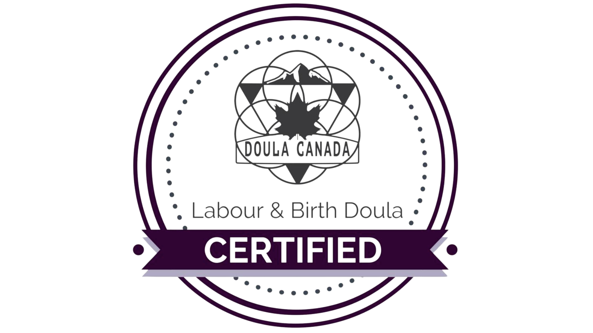 Insurance Coverage — The Nest Co.