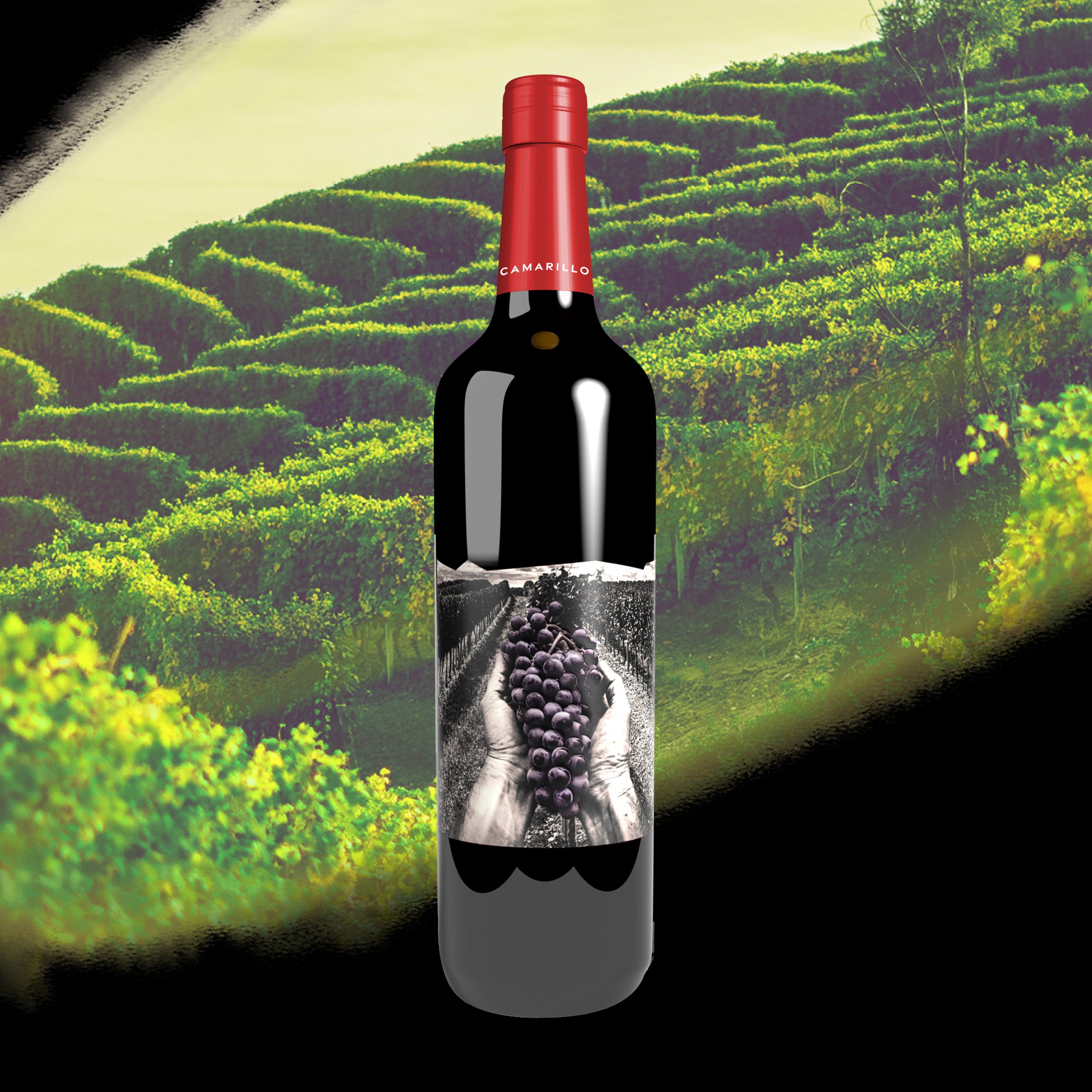 Camarillo Cabernet Sauvignon.jpg