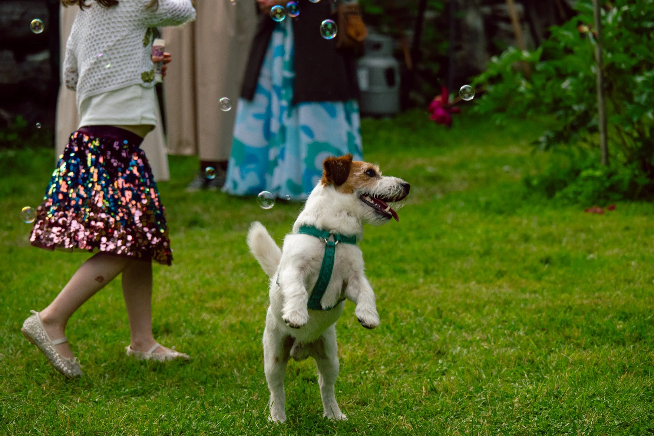@glidephotos-DSC_9157.jpg