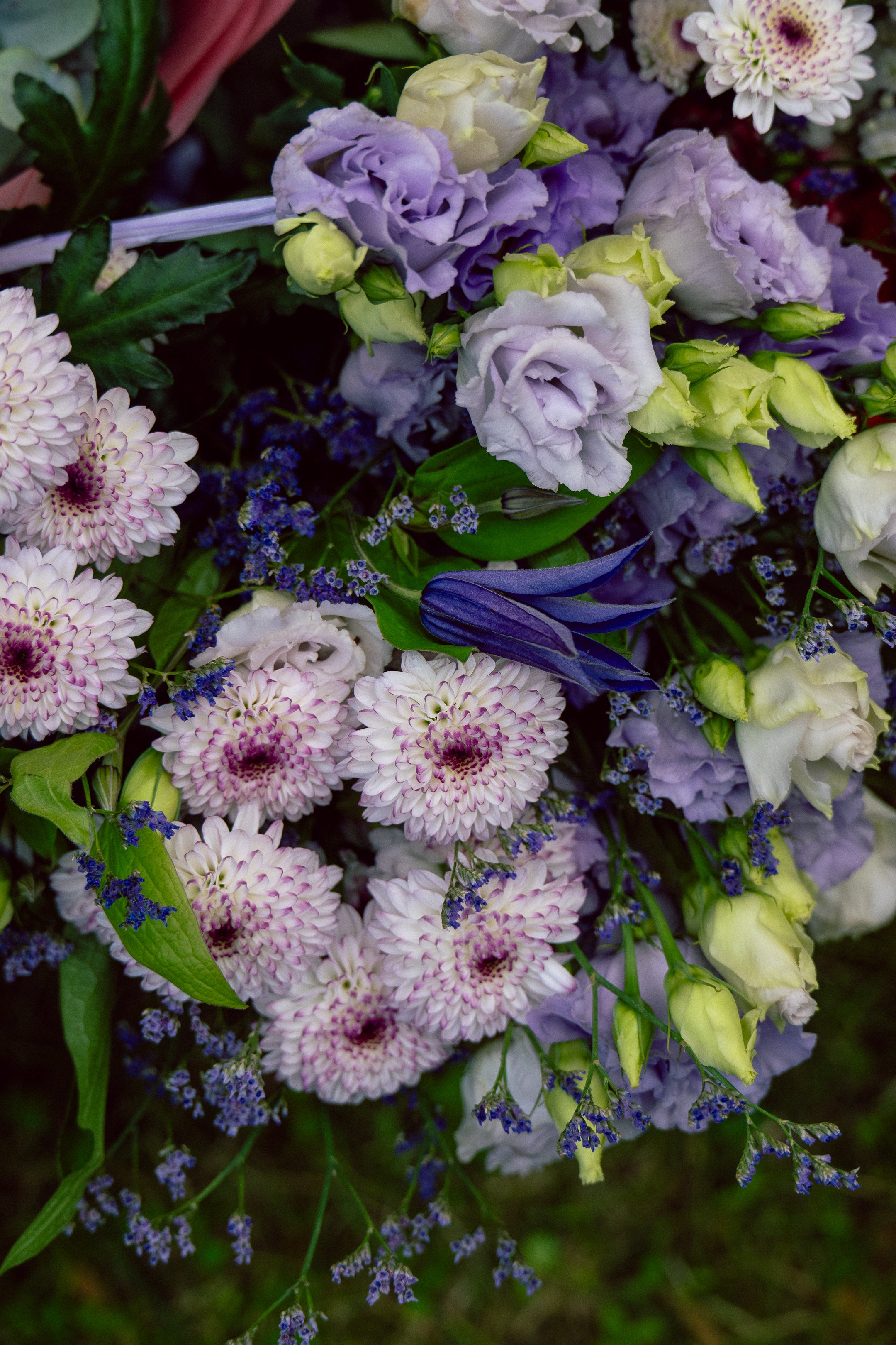 @glidephotos-DSC_8807.jpg