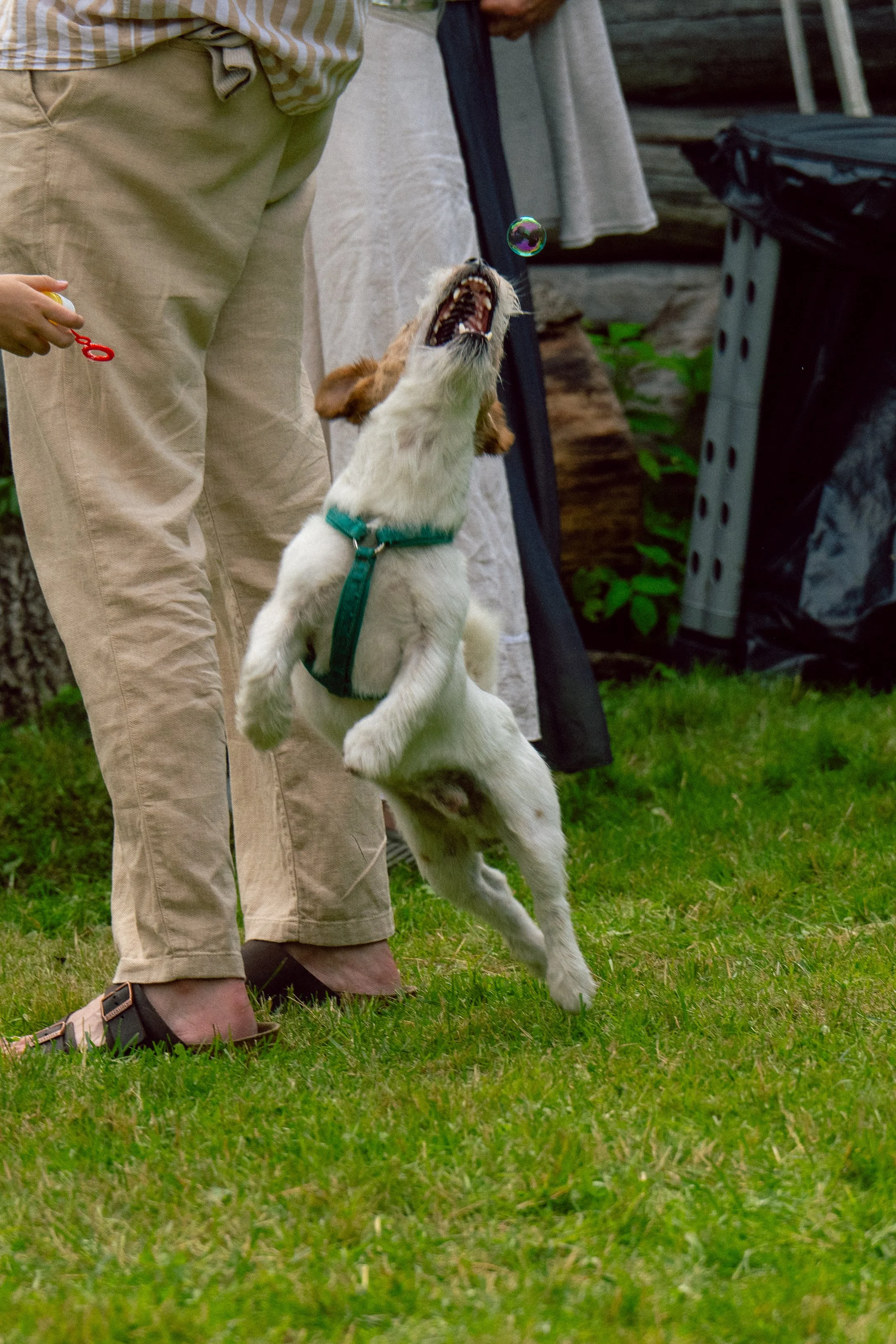 @glidephotos-DSC_9196.jpg