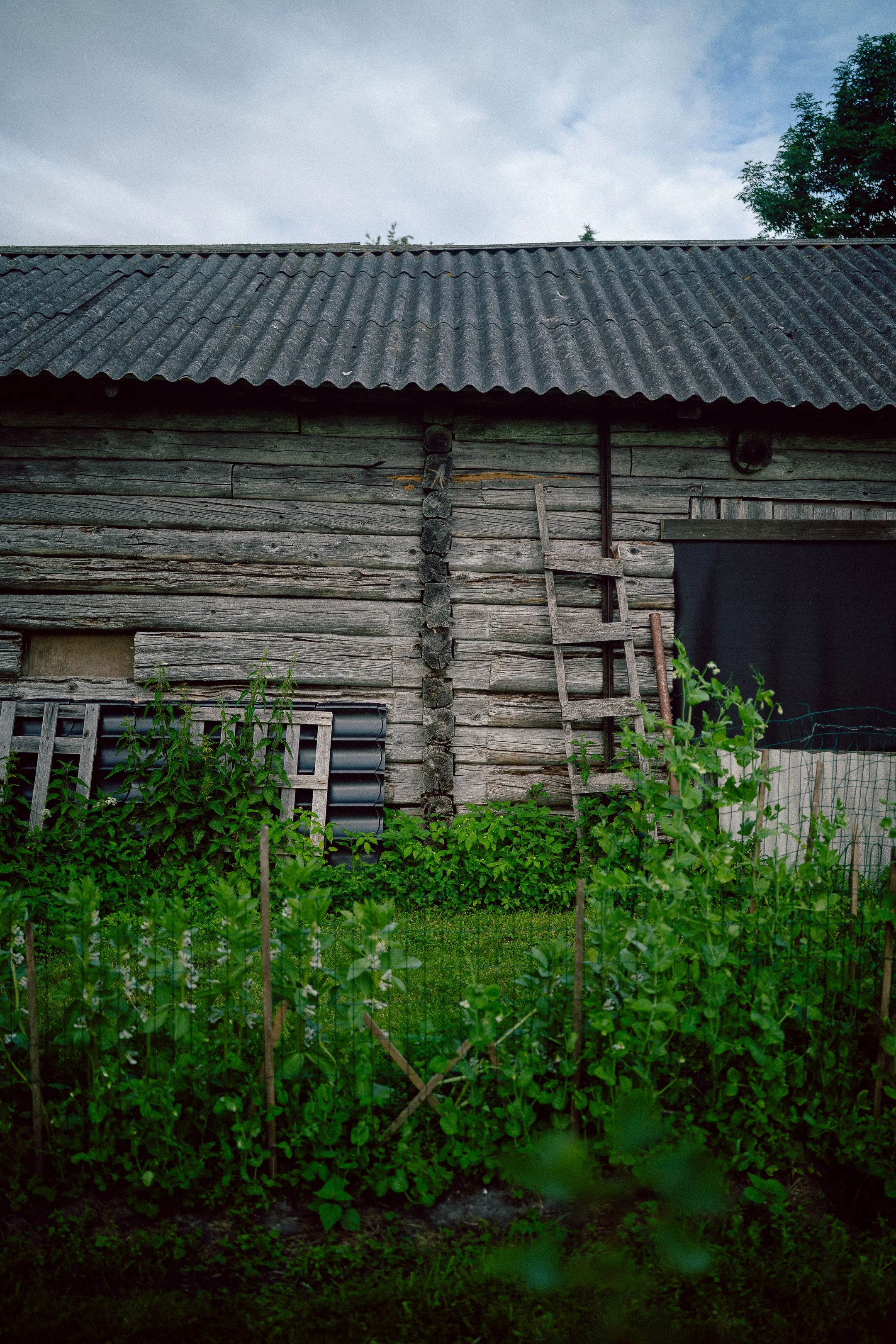 @glidephotos-ZRR_7493.jpg