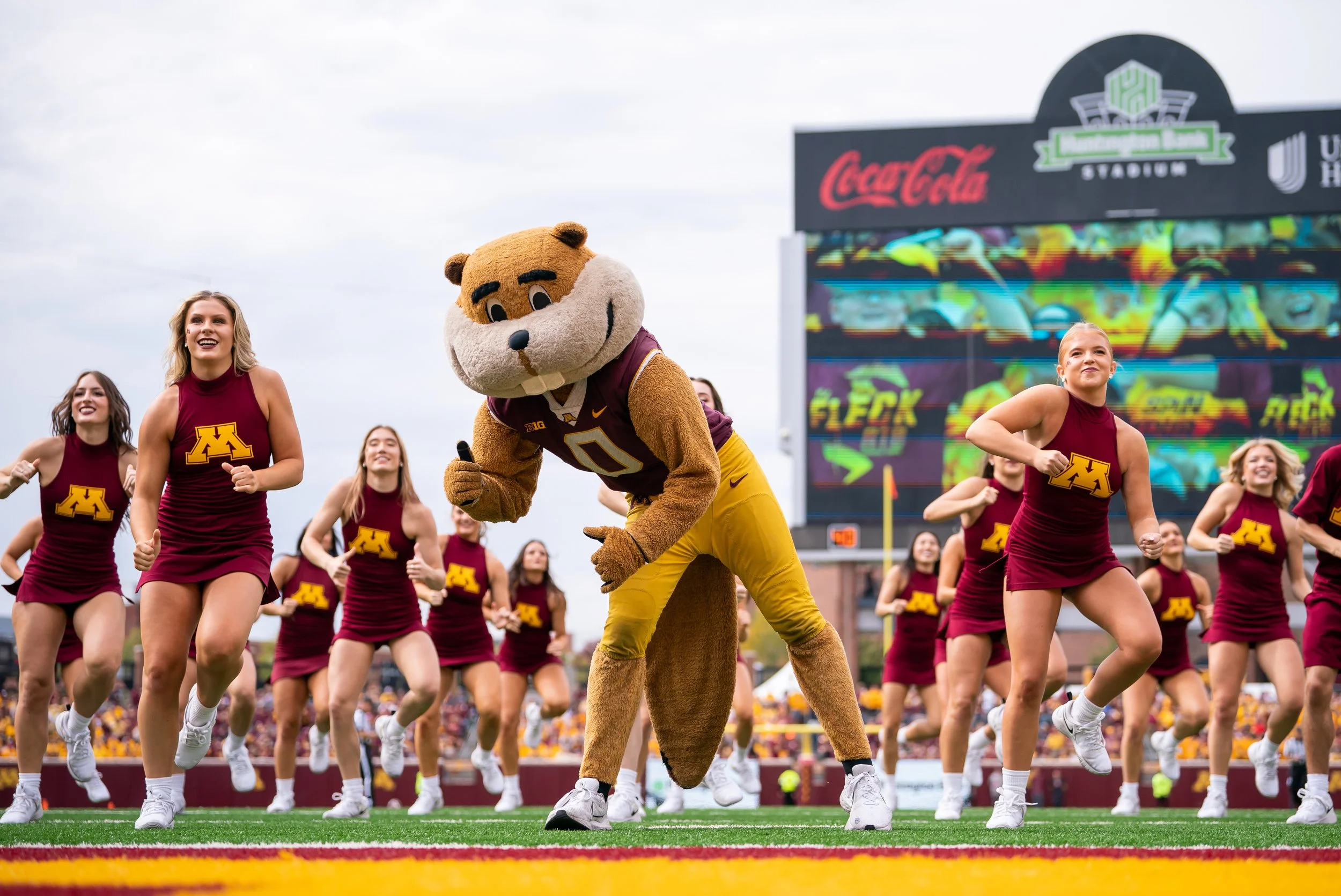 Interest Form — Minnesota Dance