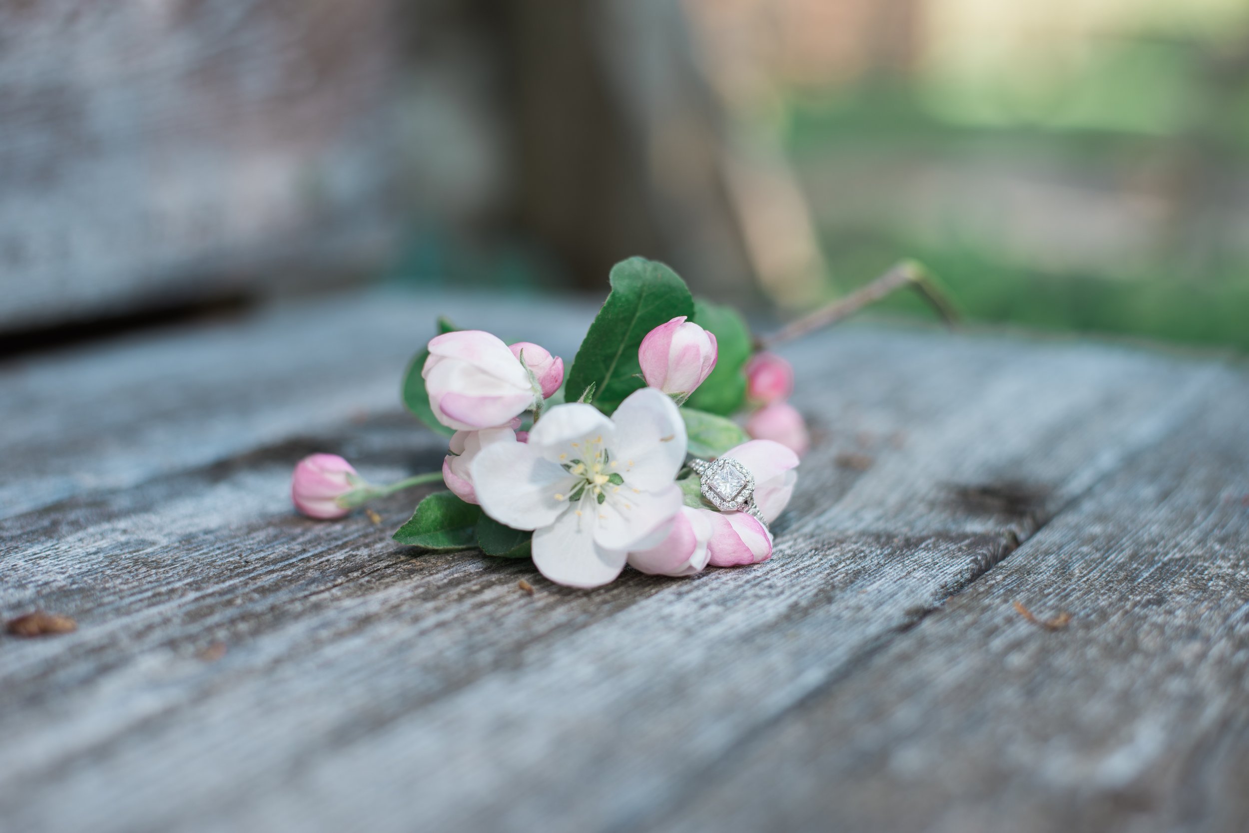 Shane & Jessica-68.jpg