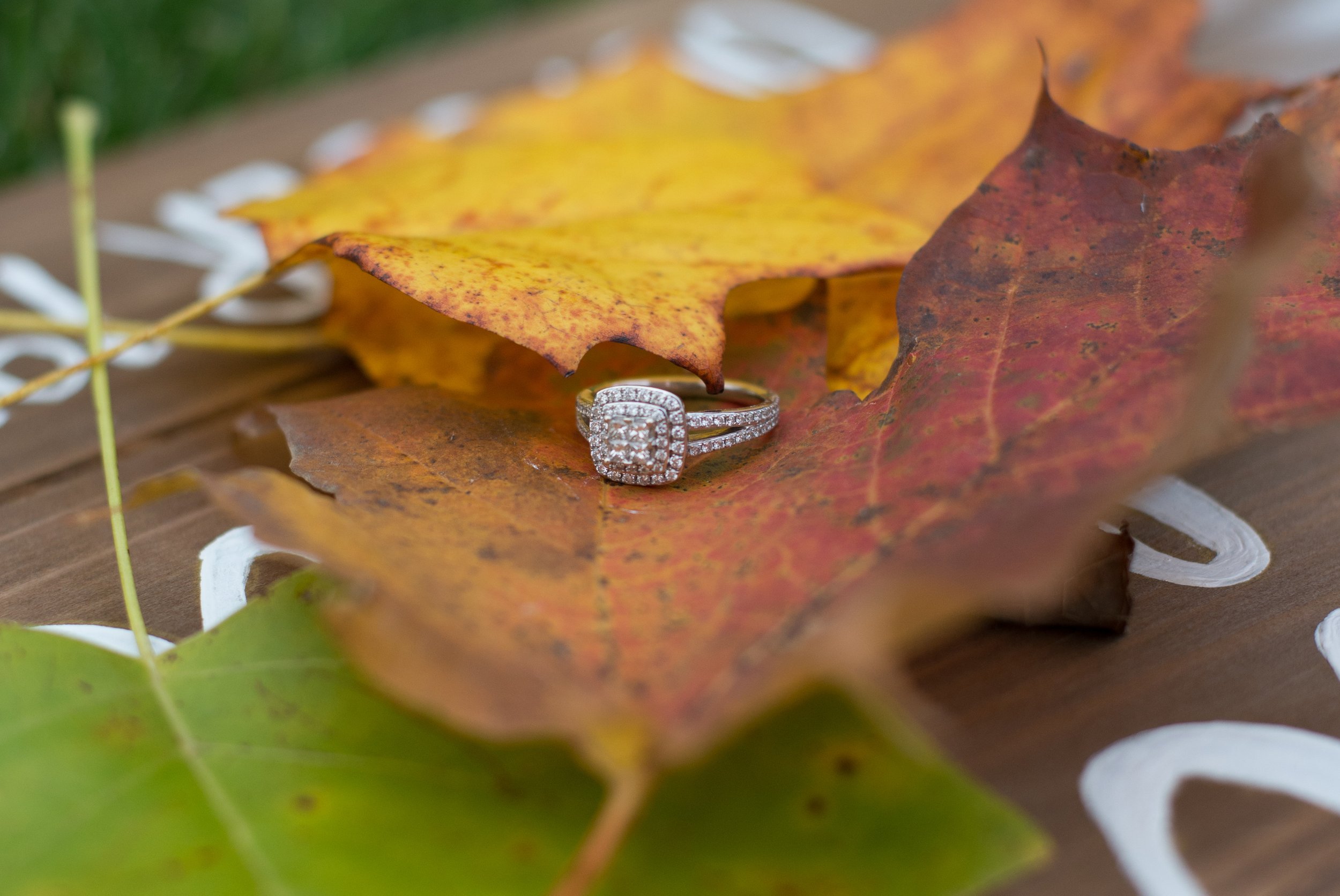 Dave & Jillian-112.jpg