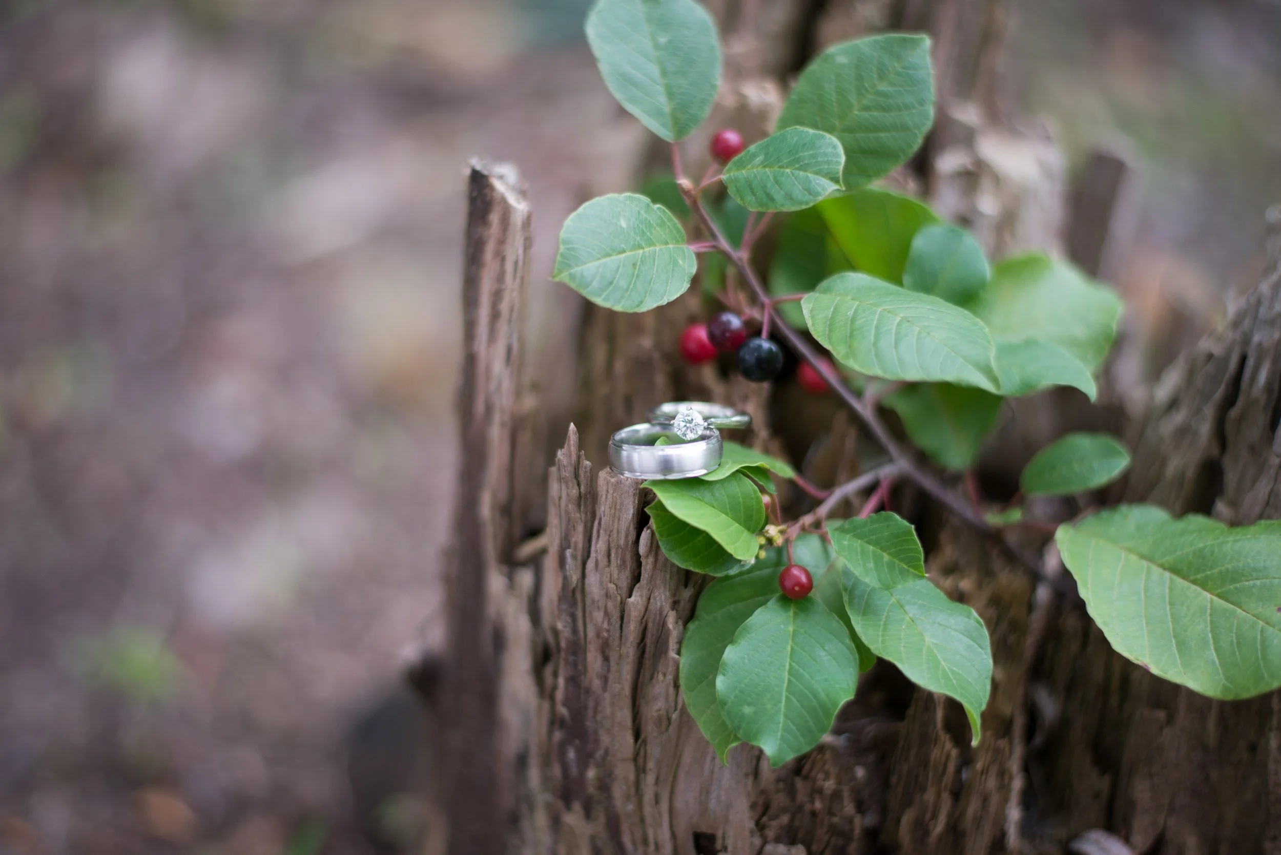 Shane & Justine Married-166.jpg