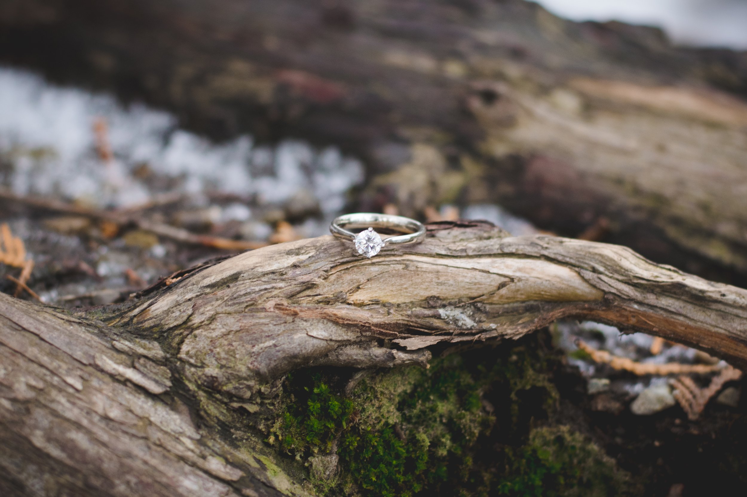 Shane & Justine Engagement-56.JPG