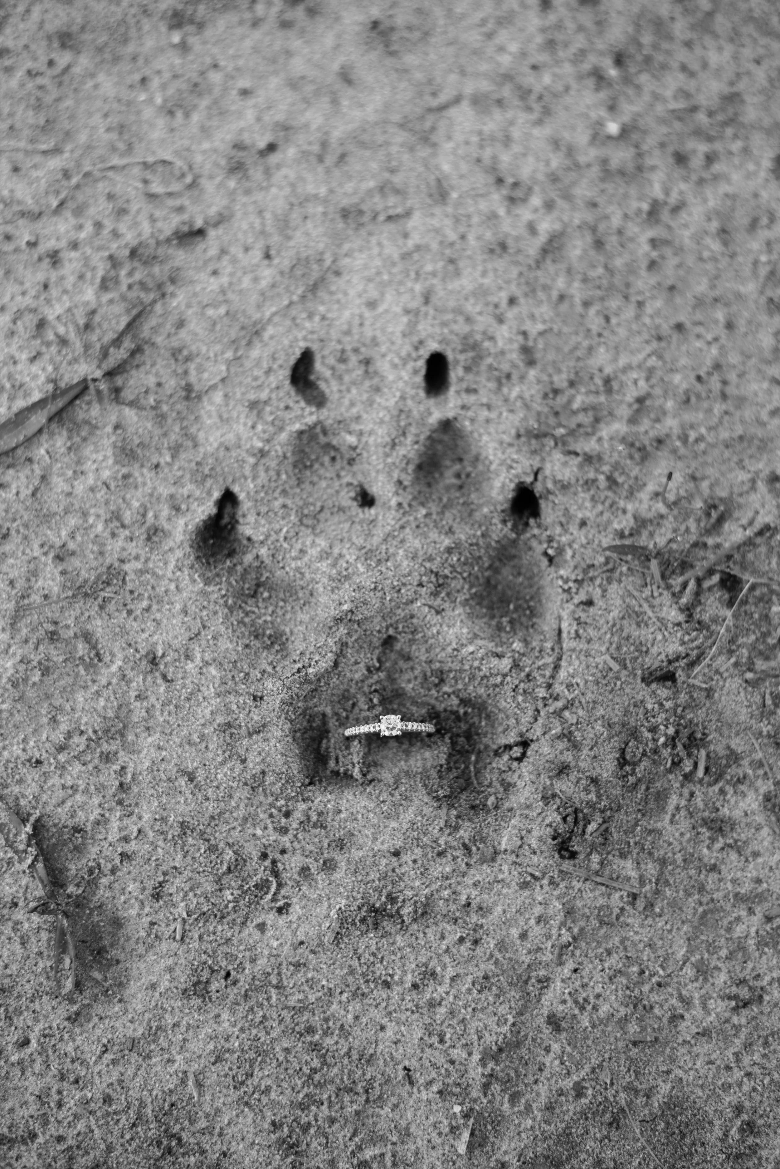 Alex & Trista-75.jpg