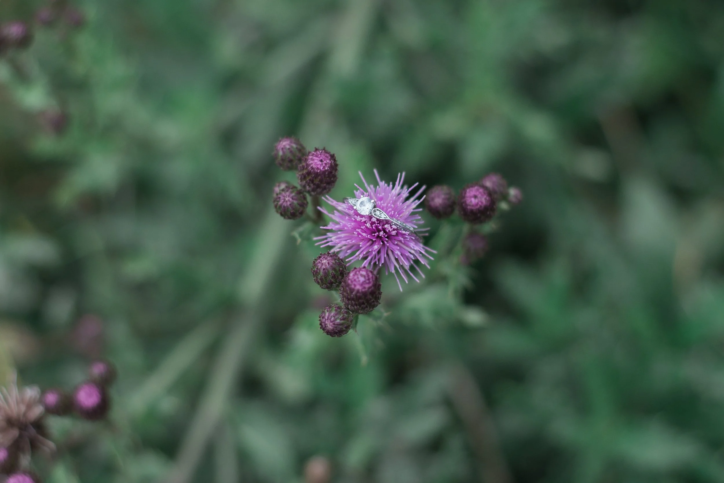 Brody & Taylor Engagement-130.jpg