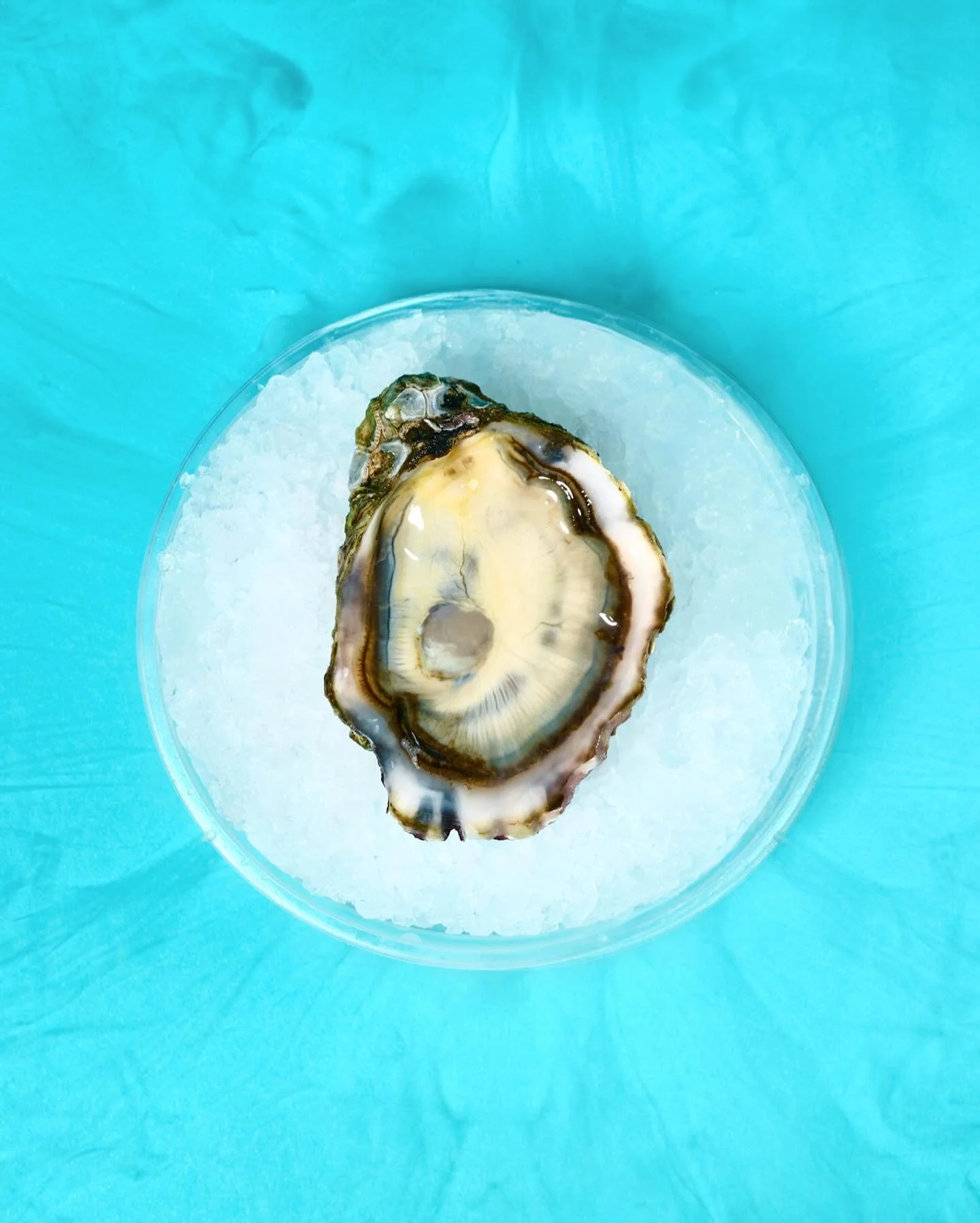 Shuck oysters with liquid nitrogen? Yup!
🦪 shot for @chefsteps

@Nikonusa Z8 / 24-70mm 2.8 S
Iso: 125
Shutter: 1/200
F/10