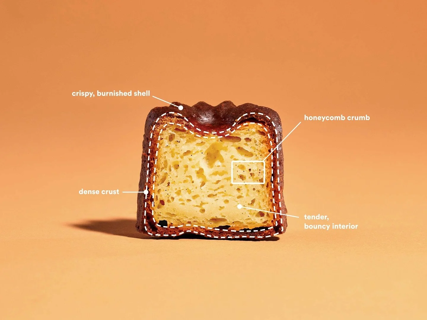 &ldquo;There are few pastries that can compare to canel&eacute;s, a bit of French patisserie wizardry that are as delicious as they are rare to find in the wild.&ldquo;. 

📸 shot for @chefsteps
@Nikonusa Z8 / 24-70mm 2.8 S
Iso: 125
Shutter: 1/200
F/