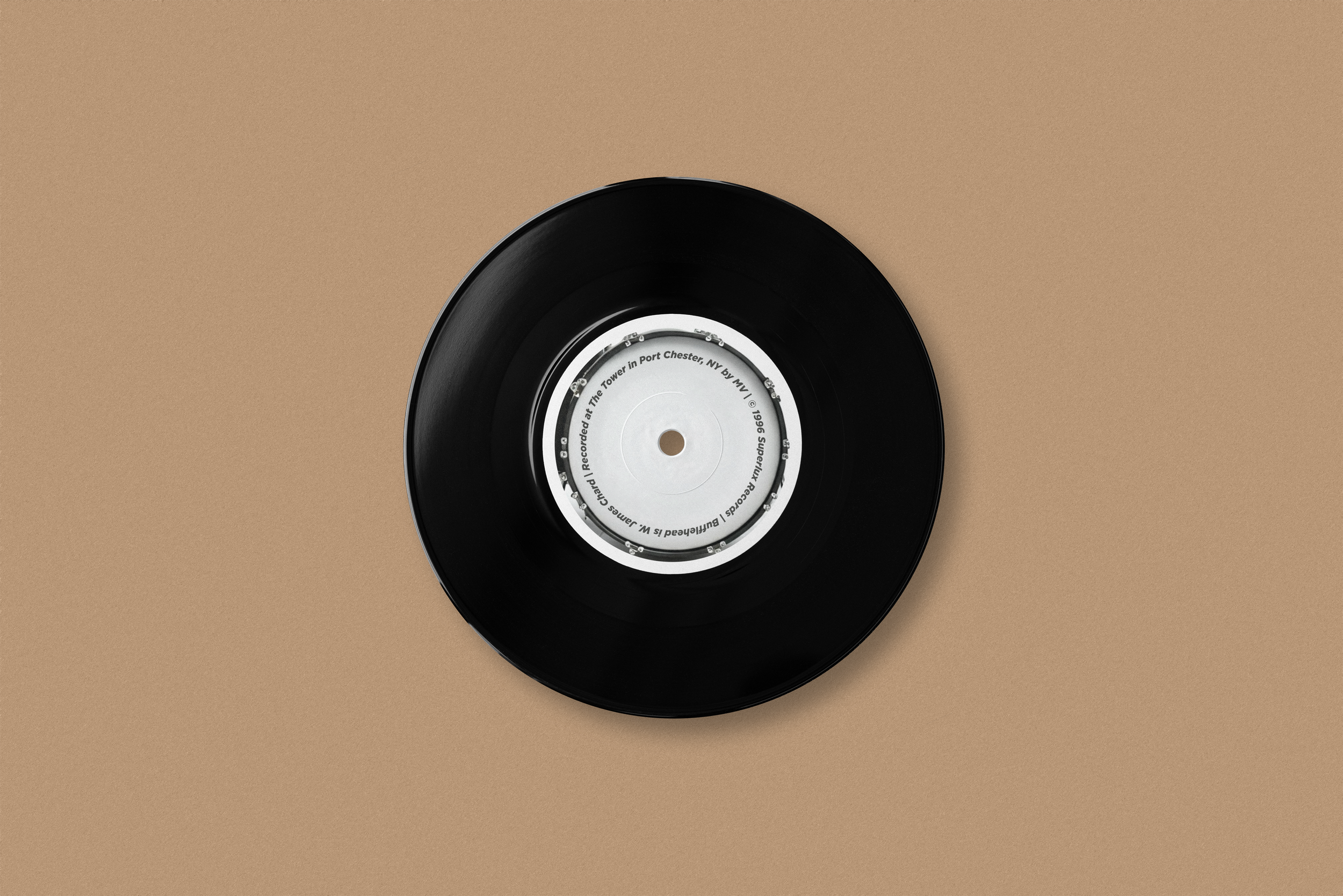 BUFFLEHEAD-003-RECORD-B.png