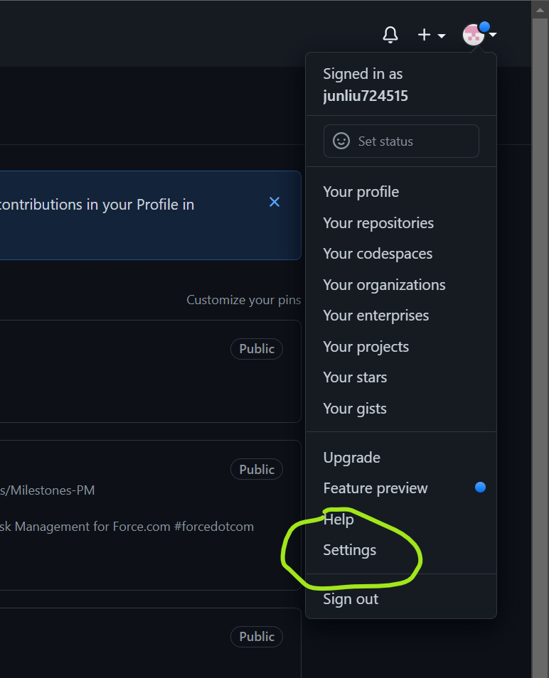 Github user account settings
