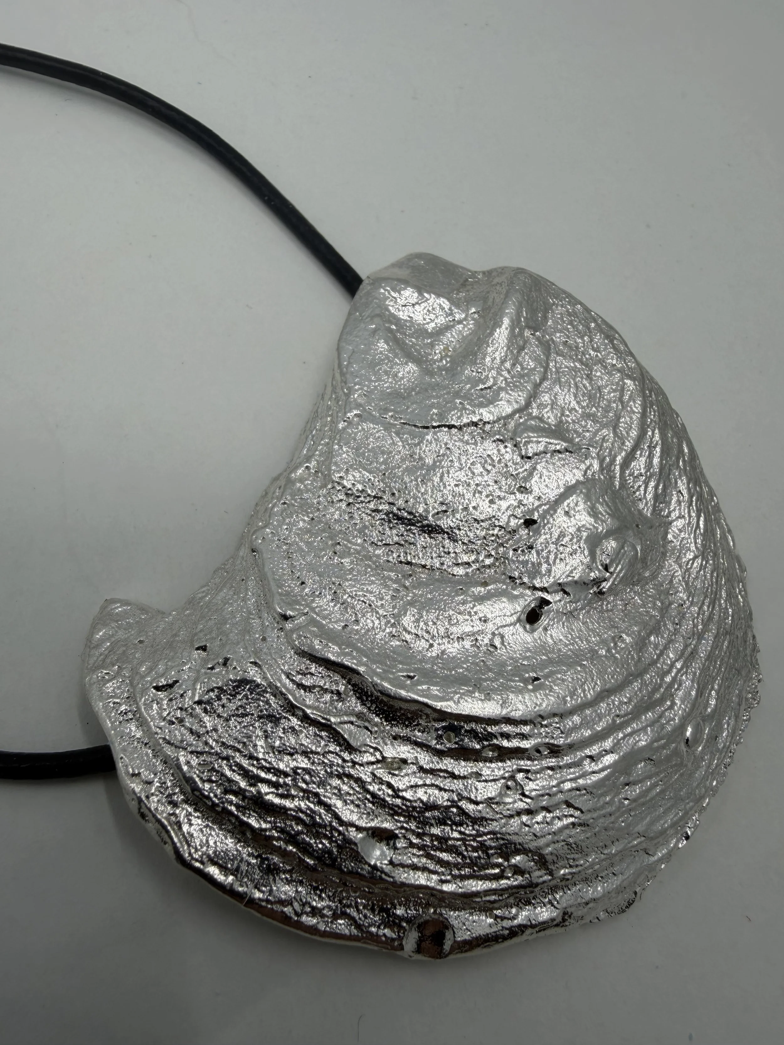 The Oyster Shell