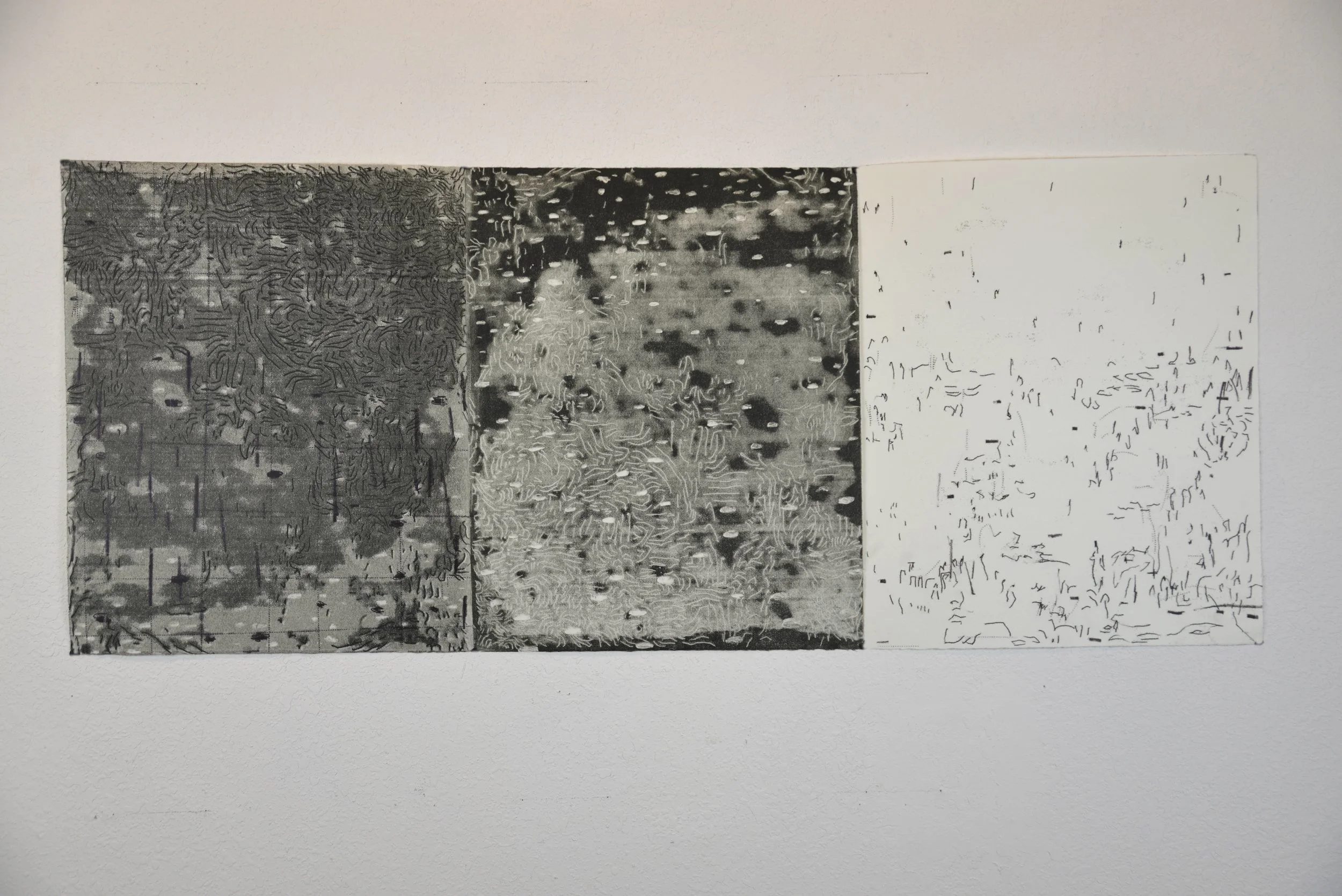 Split the Lark, 22 x 52.5”, 2025, trace monoprint on kitakata paper

