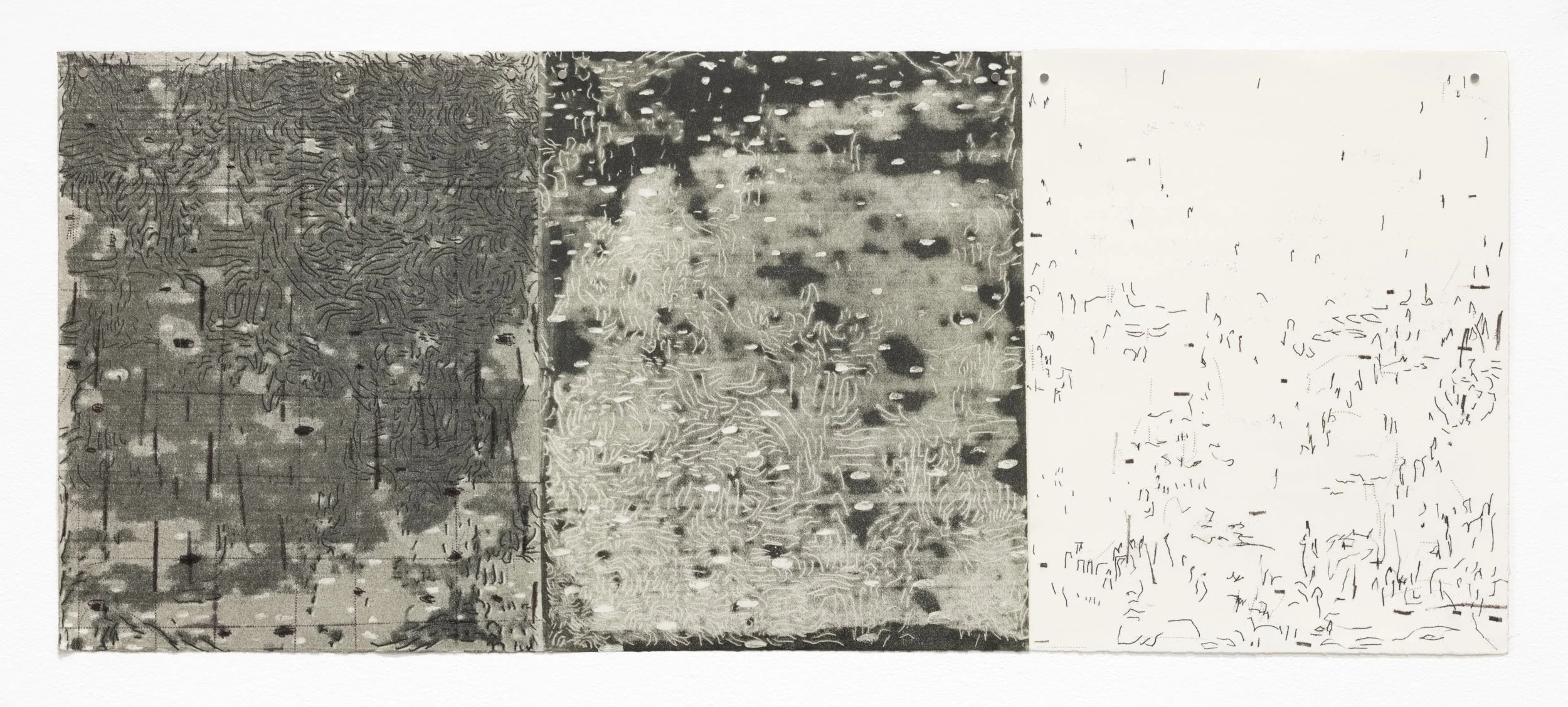 Split the Lark, 22 x 52.5”, 2025, trace monoprint on kitakata paper