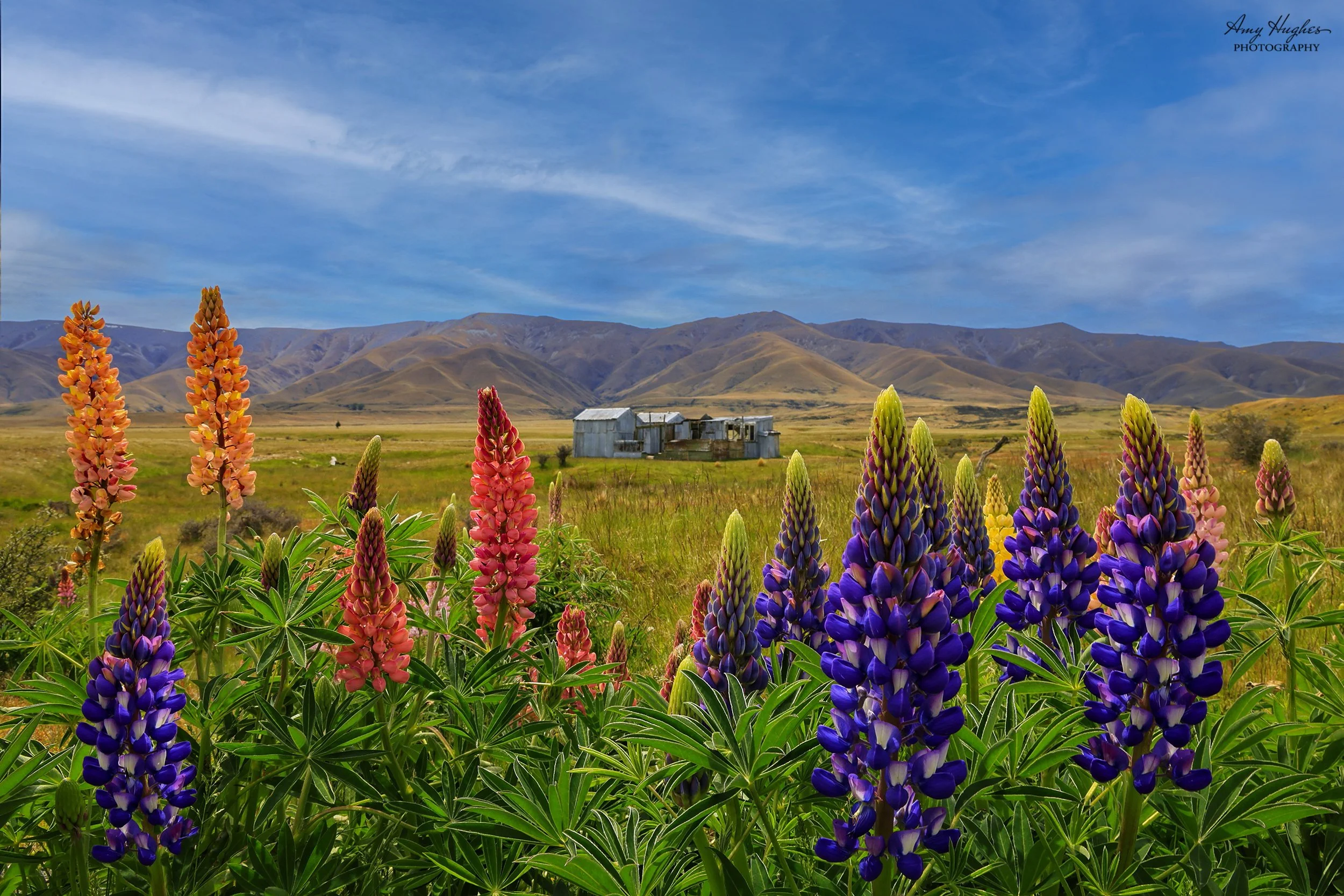 lupins falls dam sig.jpg