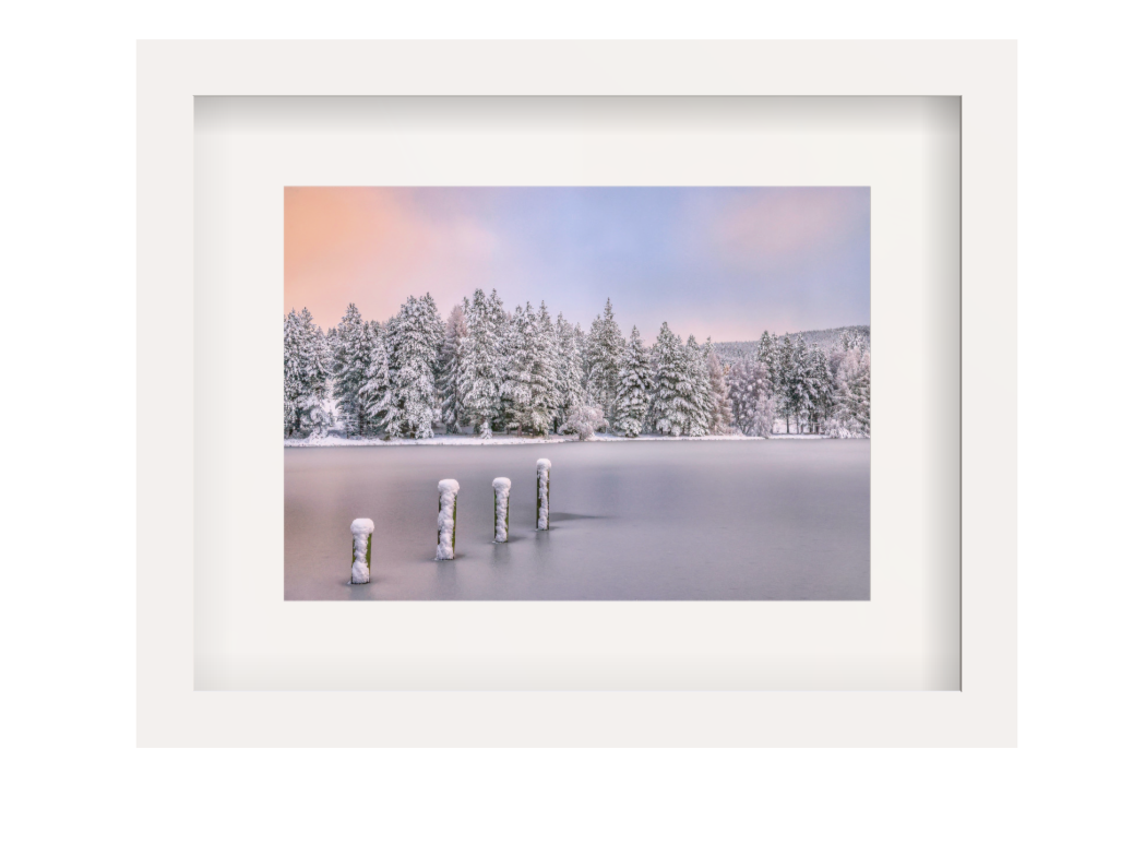 Screenshot 2026-01-02 113738.png