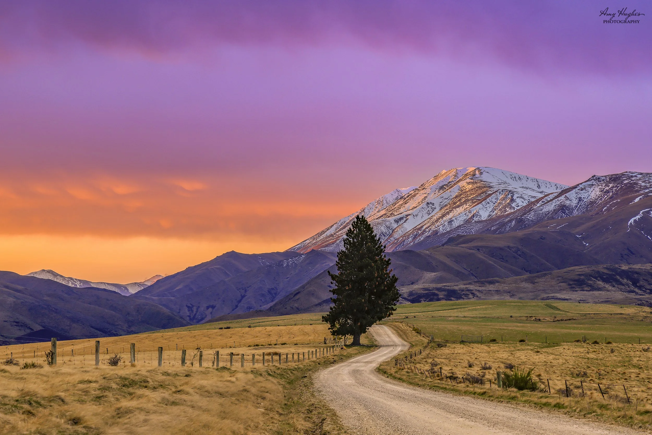 St Bathans Downs Rd - Amy Hughes.jpg