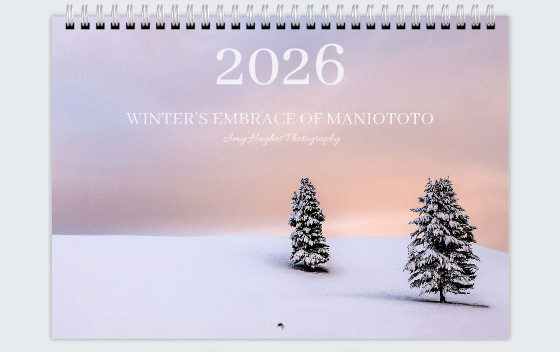 Screenshot 2025-10-29 201353.png (Copy)