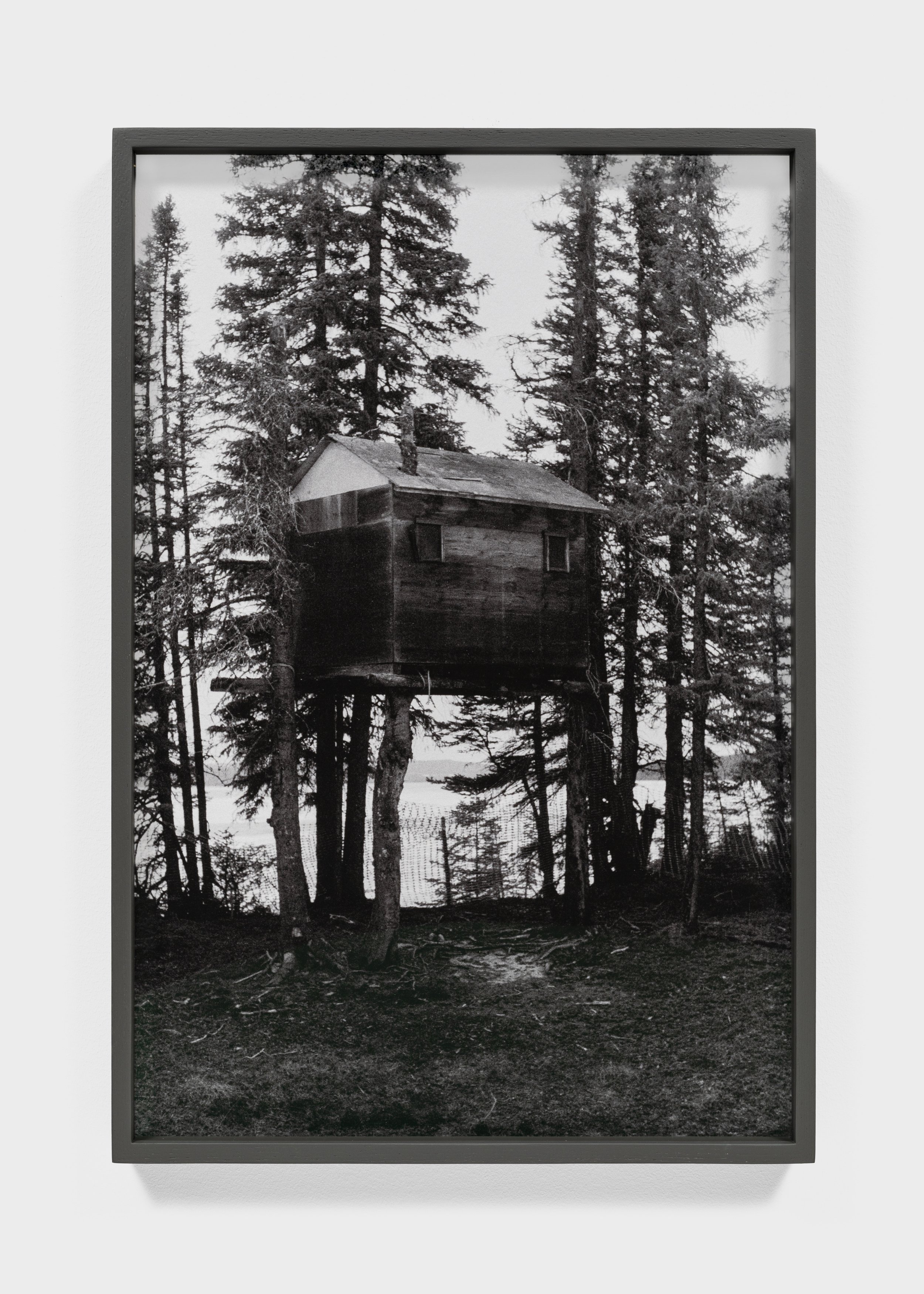 Black and white photograph of a treehouse in a forest surrounded by tall coniferous trees.